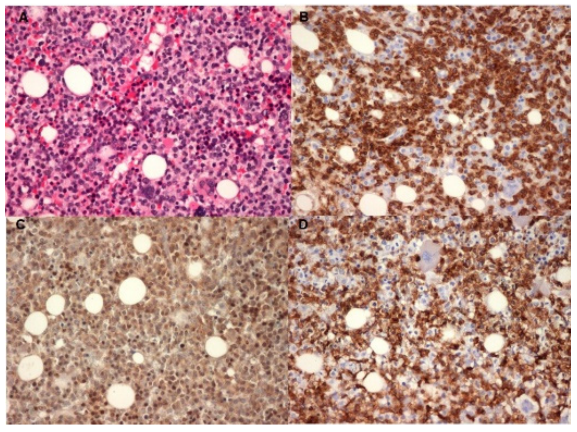 Gastroent 13 00026 g003