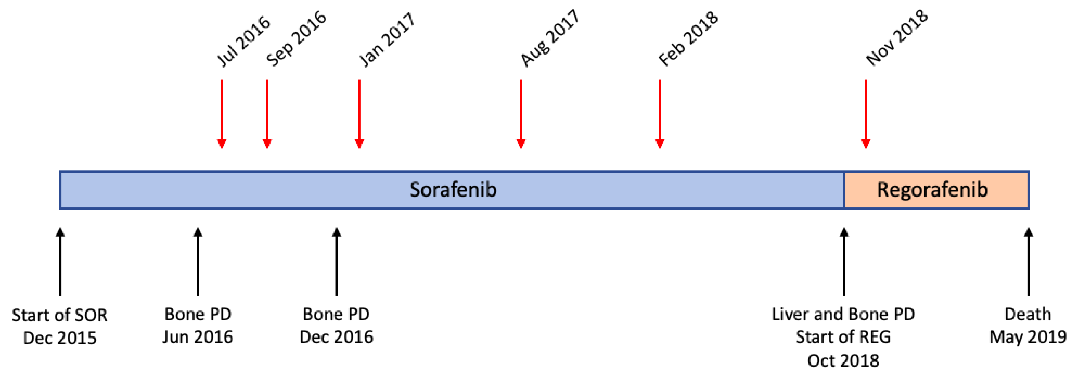 Gastroent 14 00005 g001 550