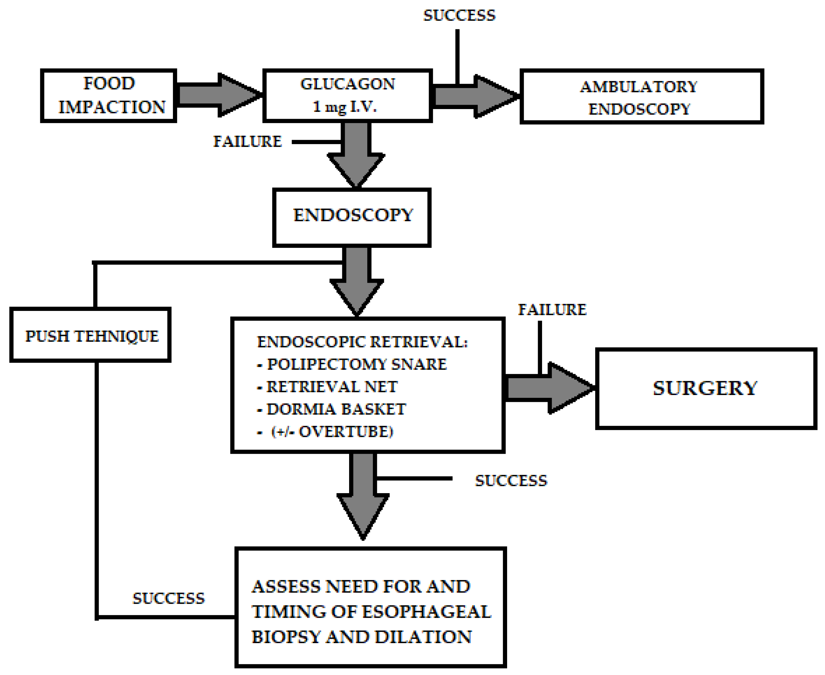 Gastroenterology Insights Free FullText Esophageal Food Impaction