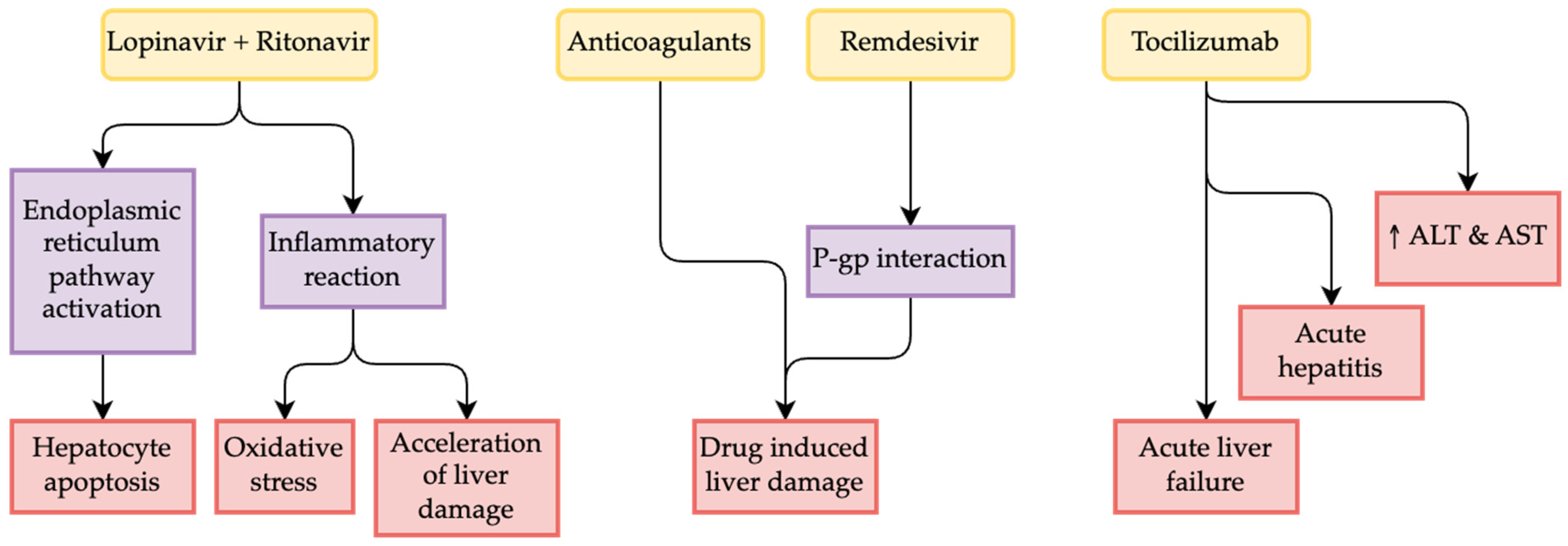 Gastroent 14 00012 g002