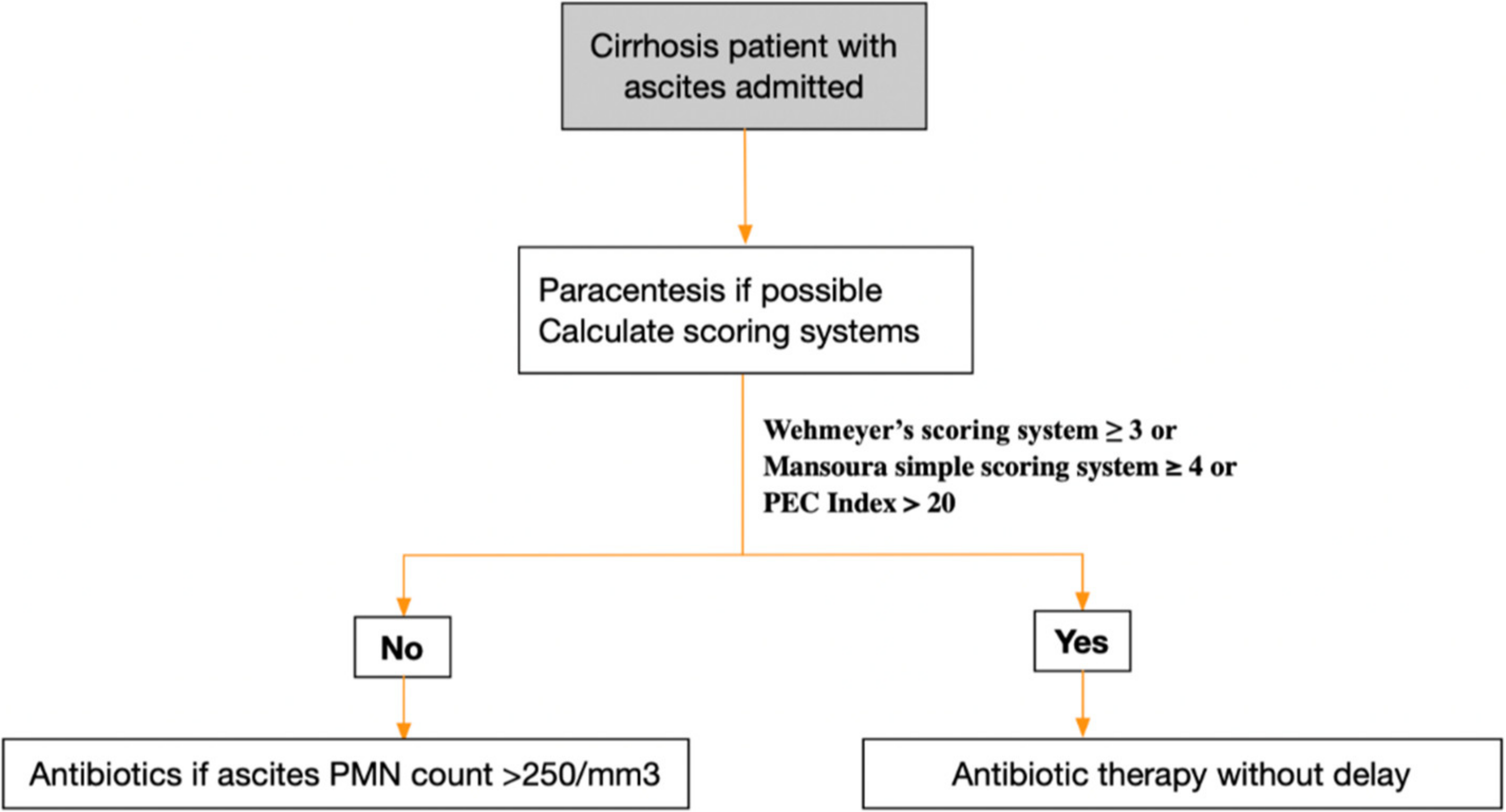 Gastroent 14 00013 g001