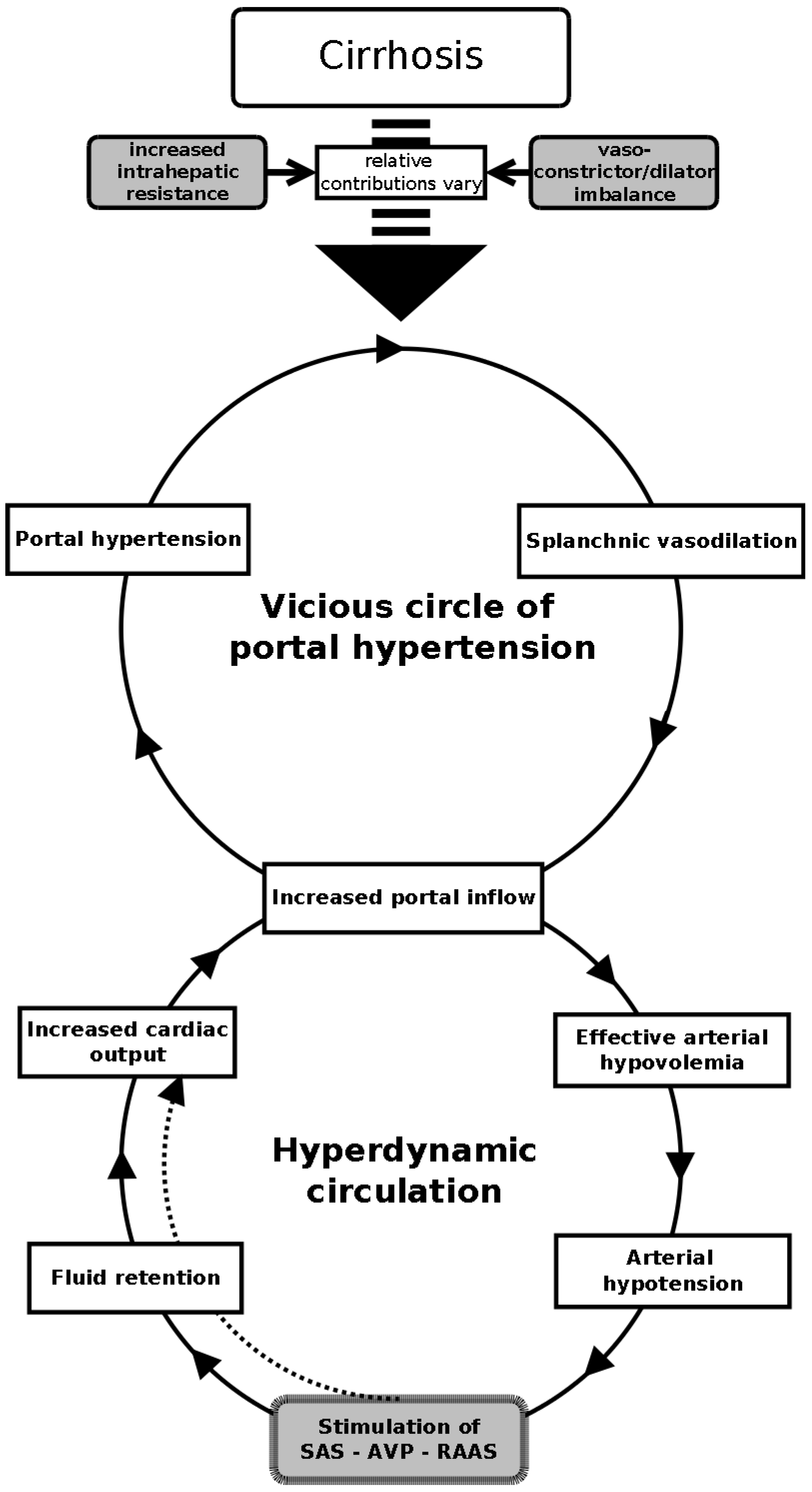 Gastroent 14 00033 g001