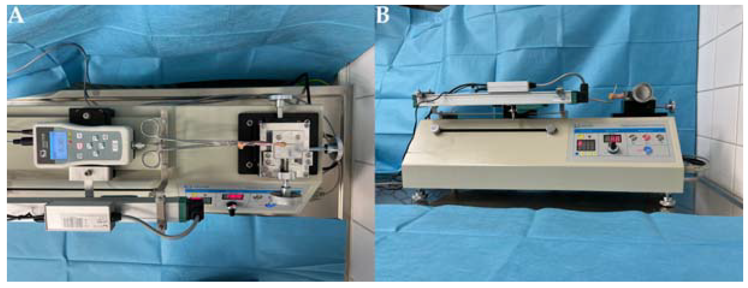 Gastroent 14 00035 g002