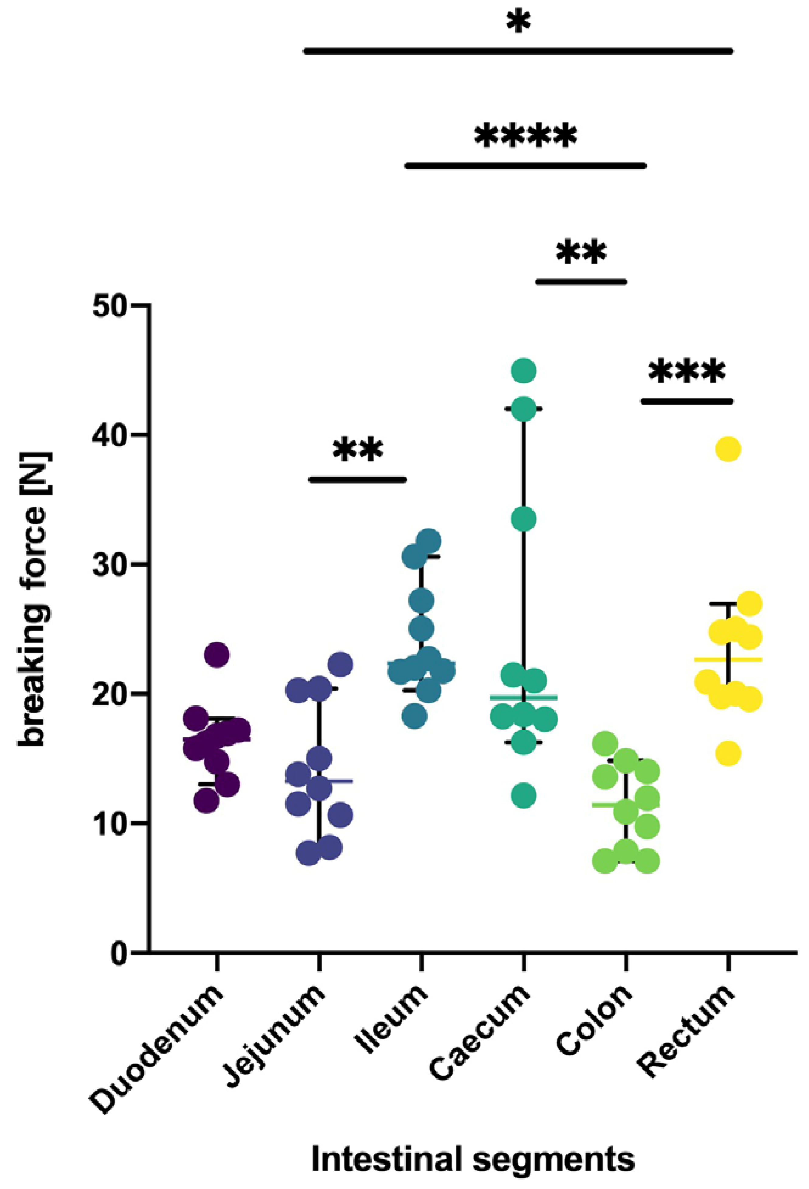 Gastroent 14 00035 g003