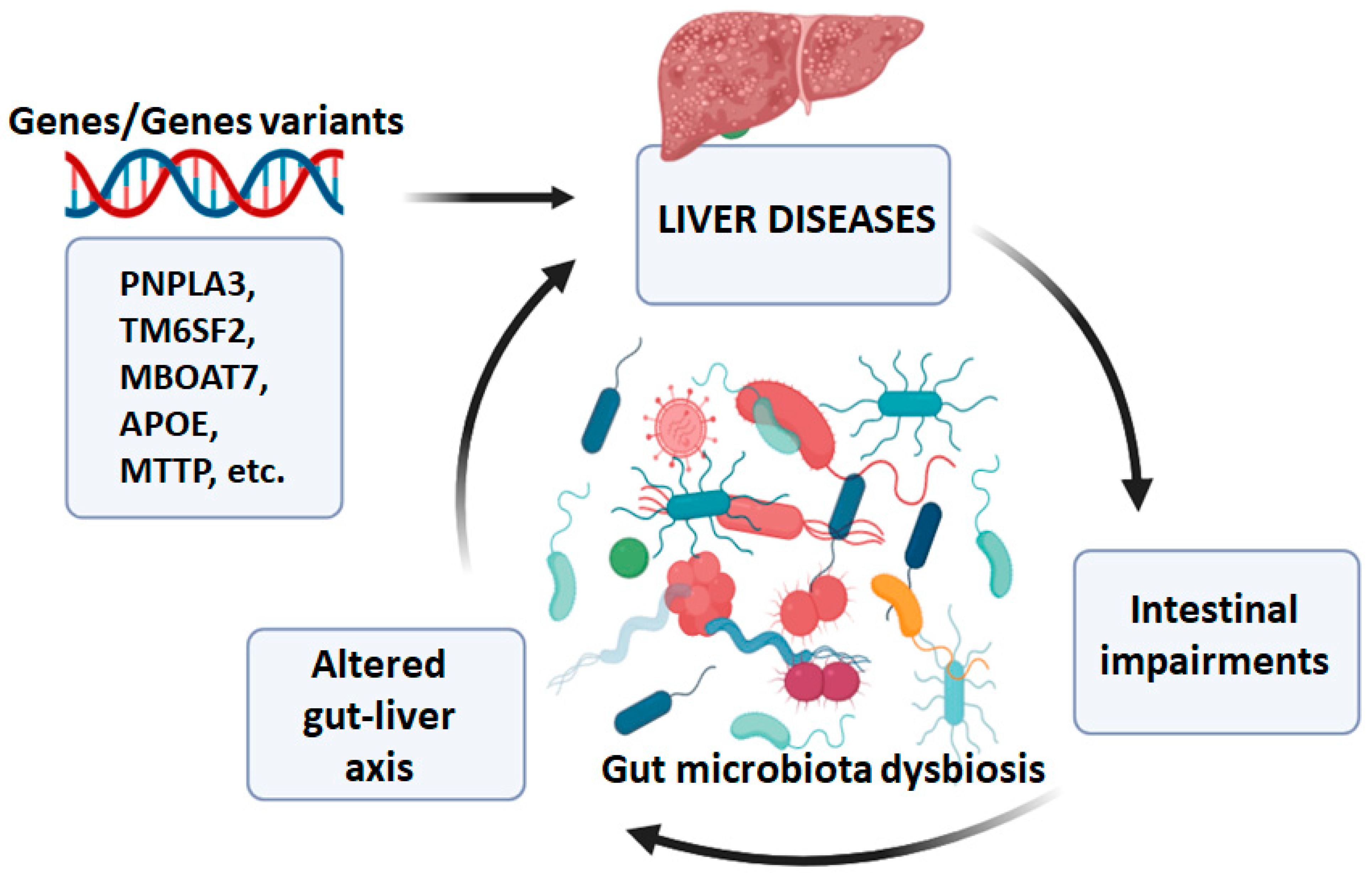 Gastroent 14 00041 g003