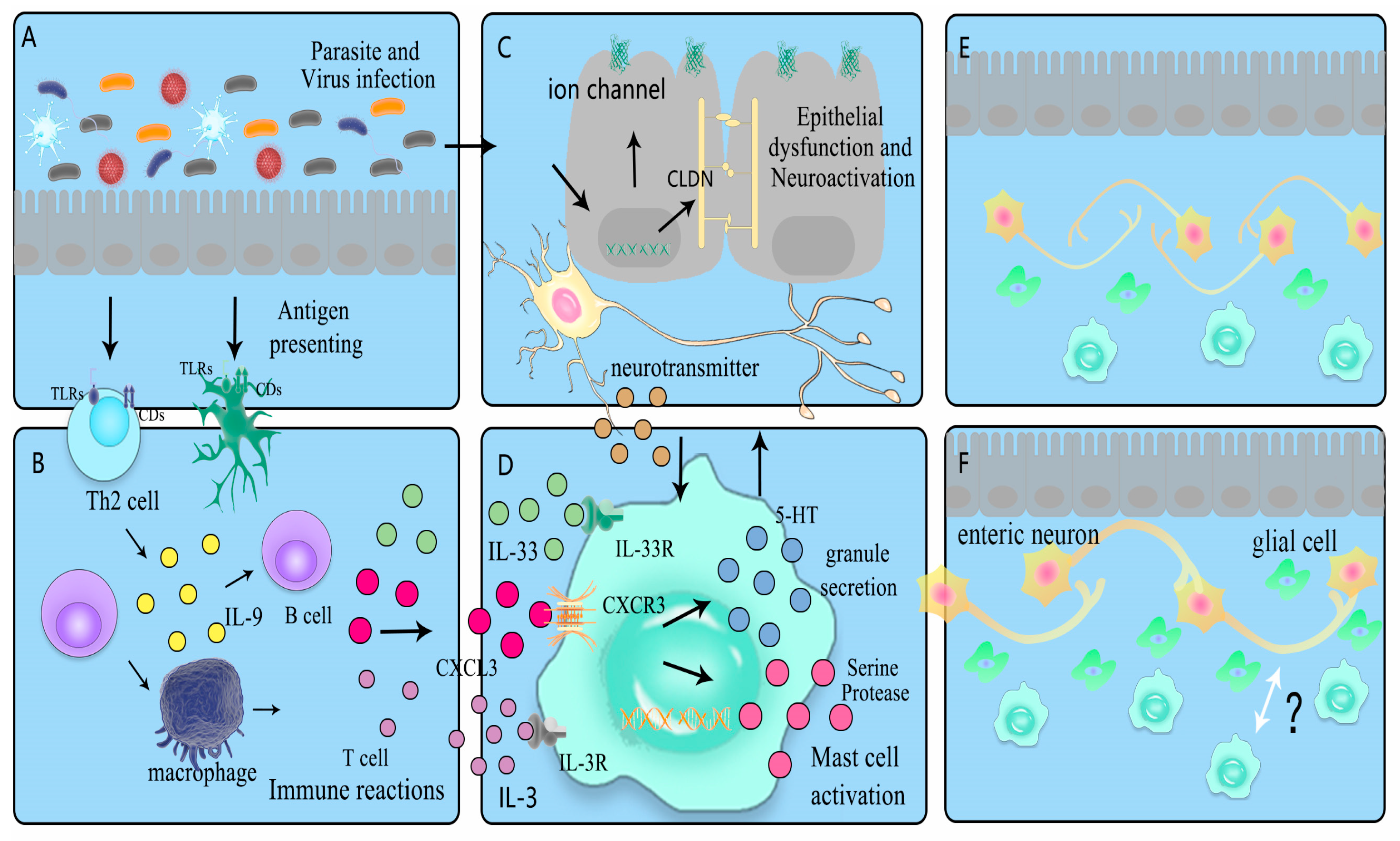 Gastroent 14 00043 g001