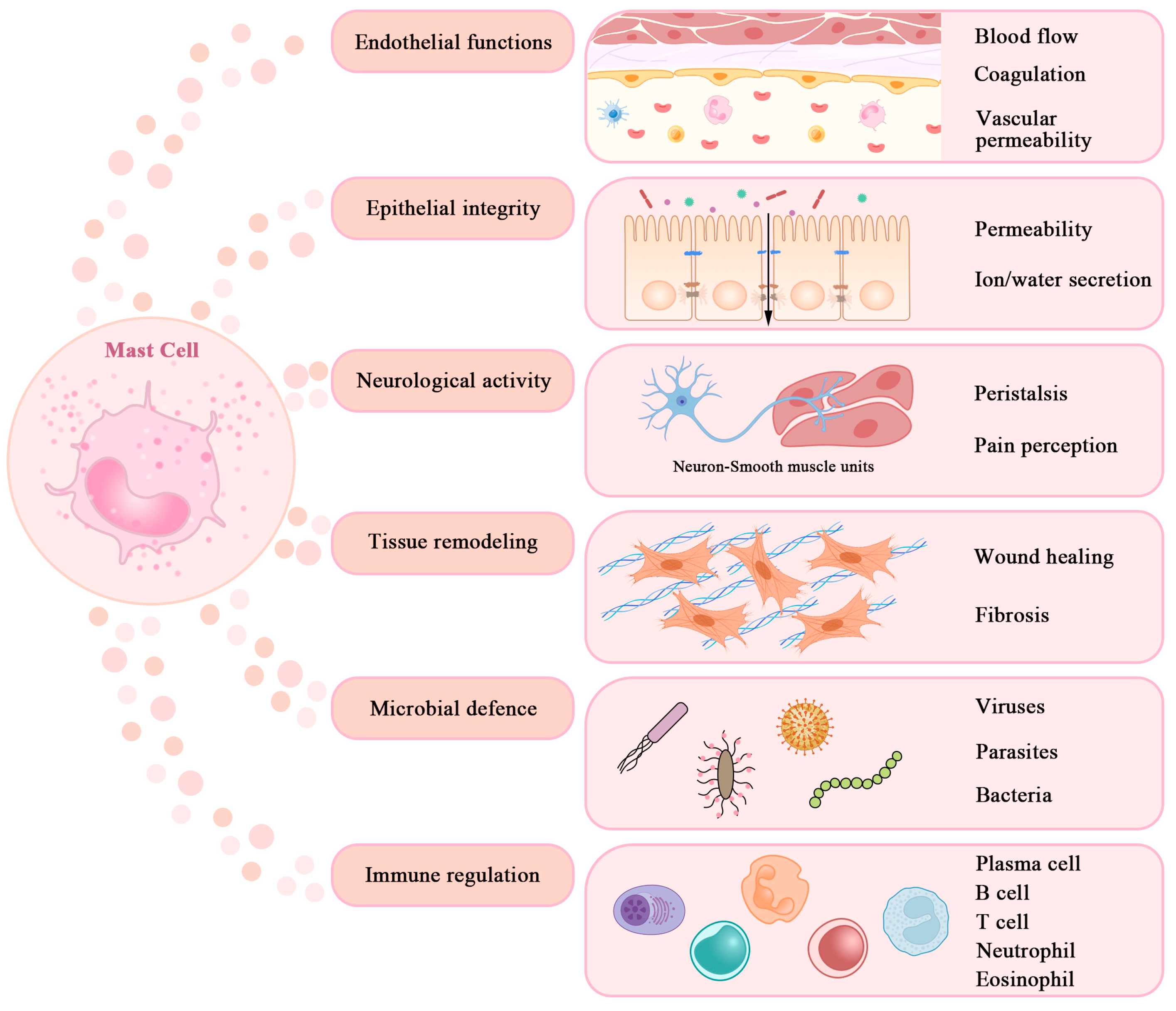 Gastroent 14 00043 g002
