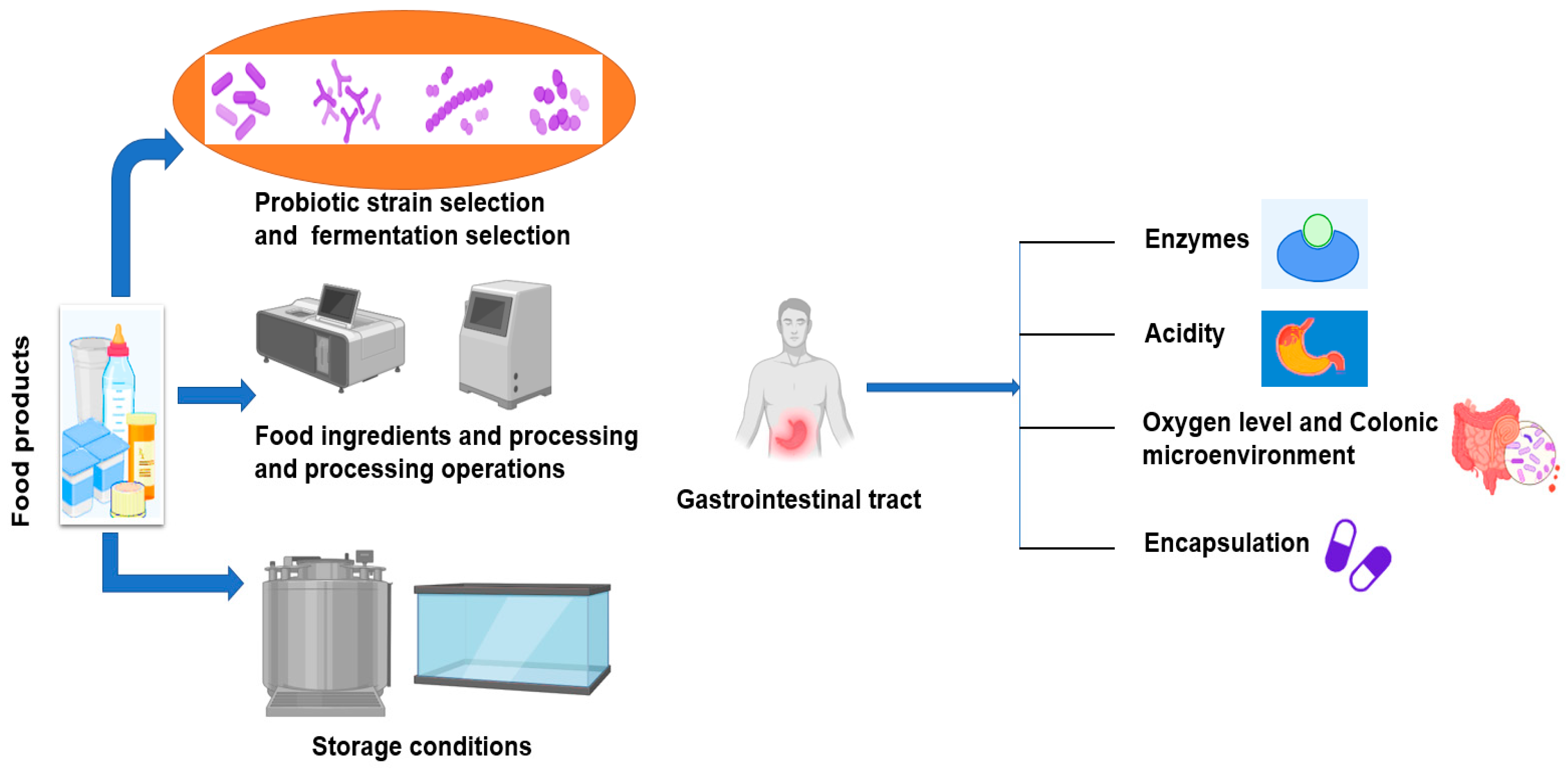 Gastroent 15 00016 g001