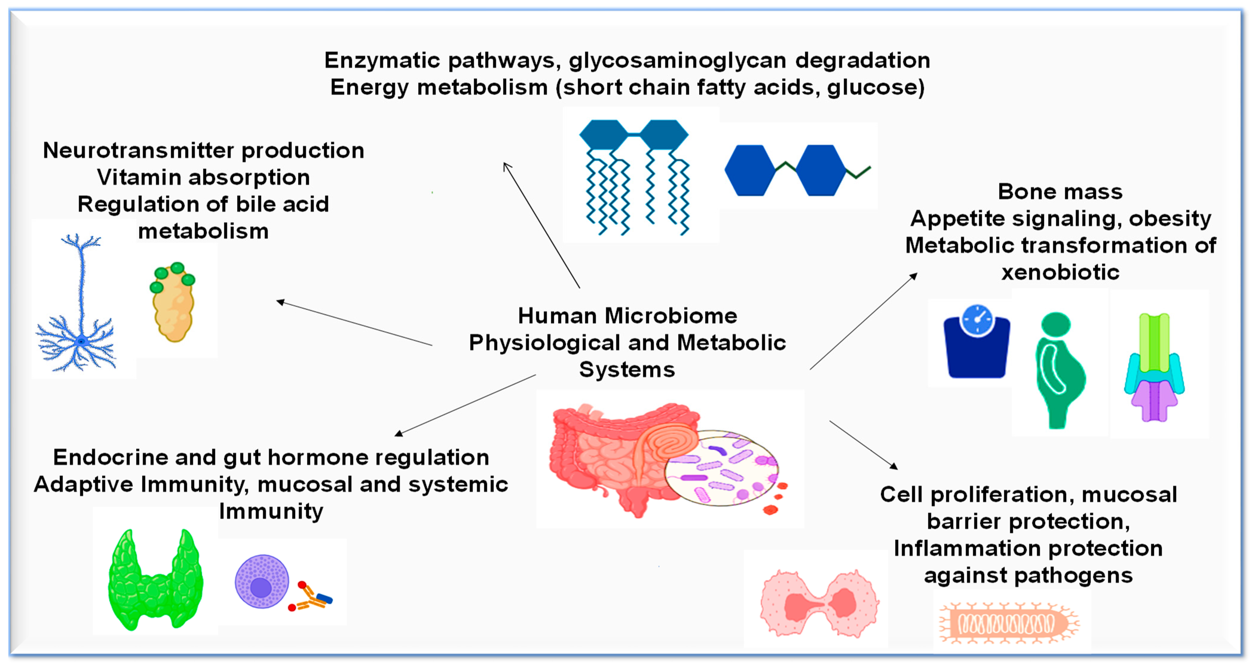 Gastroent 15 00016 g002