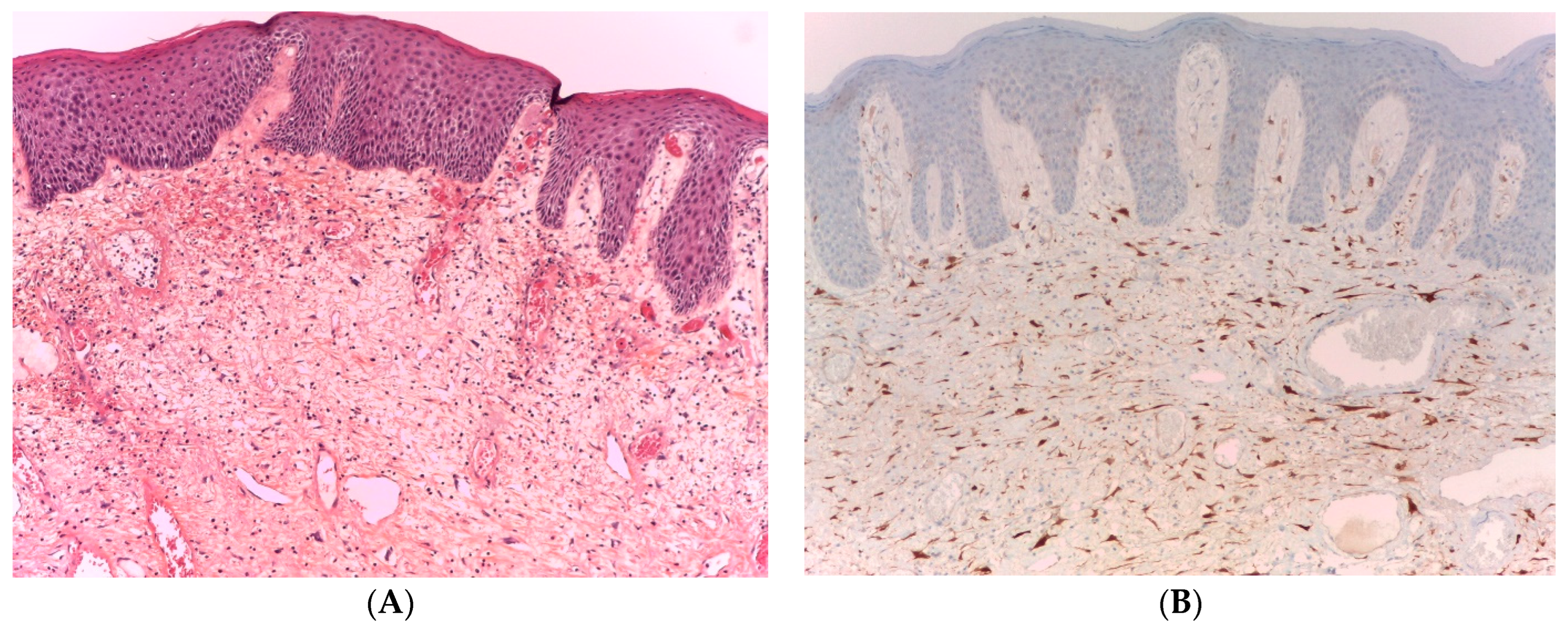 Gastroent 15 00029 g001