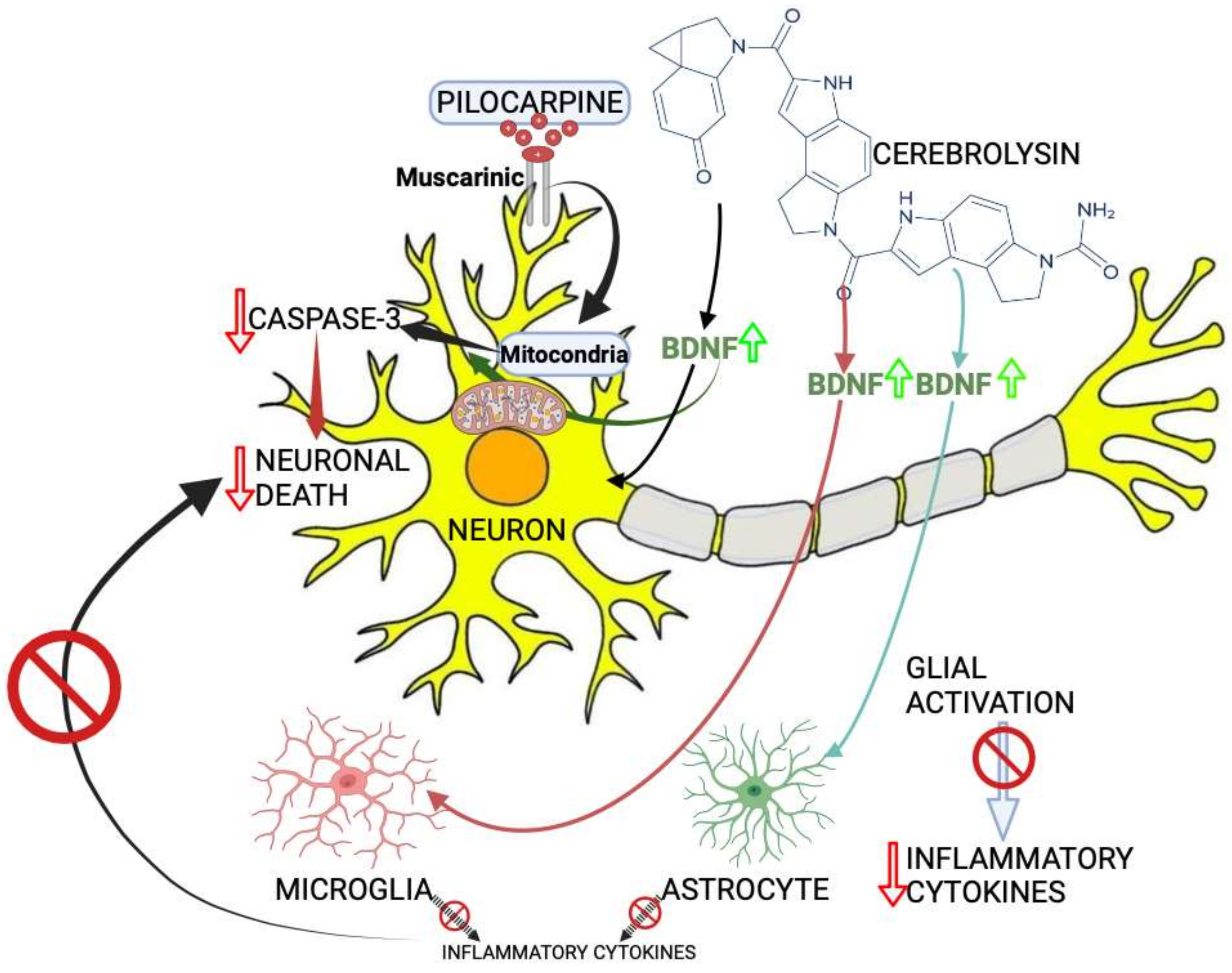 Gastroent 15 00031 g001