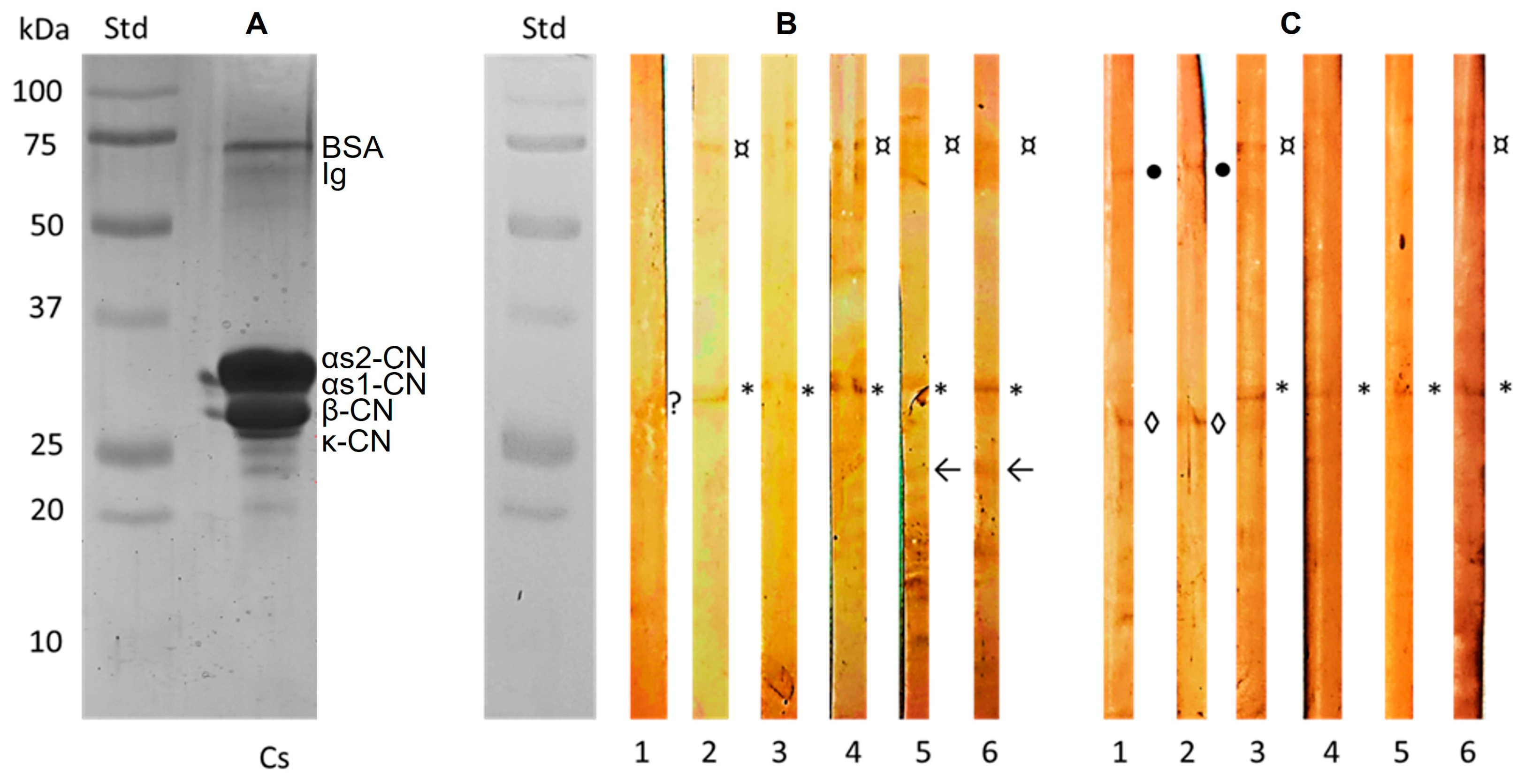 Gastroent 15 00039 g002