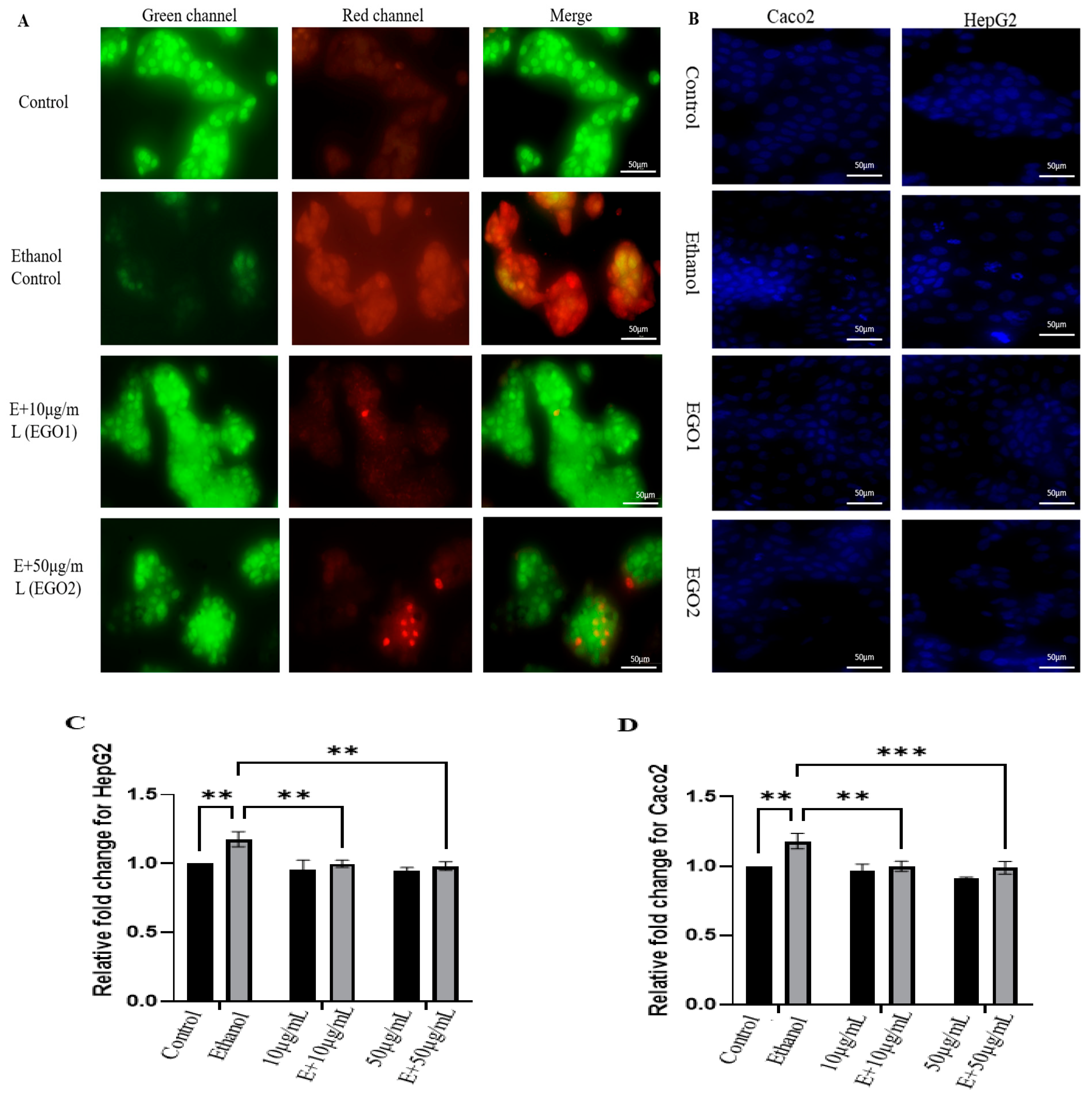 Gastroent 15 00042 g003