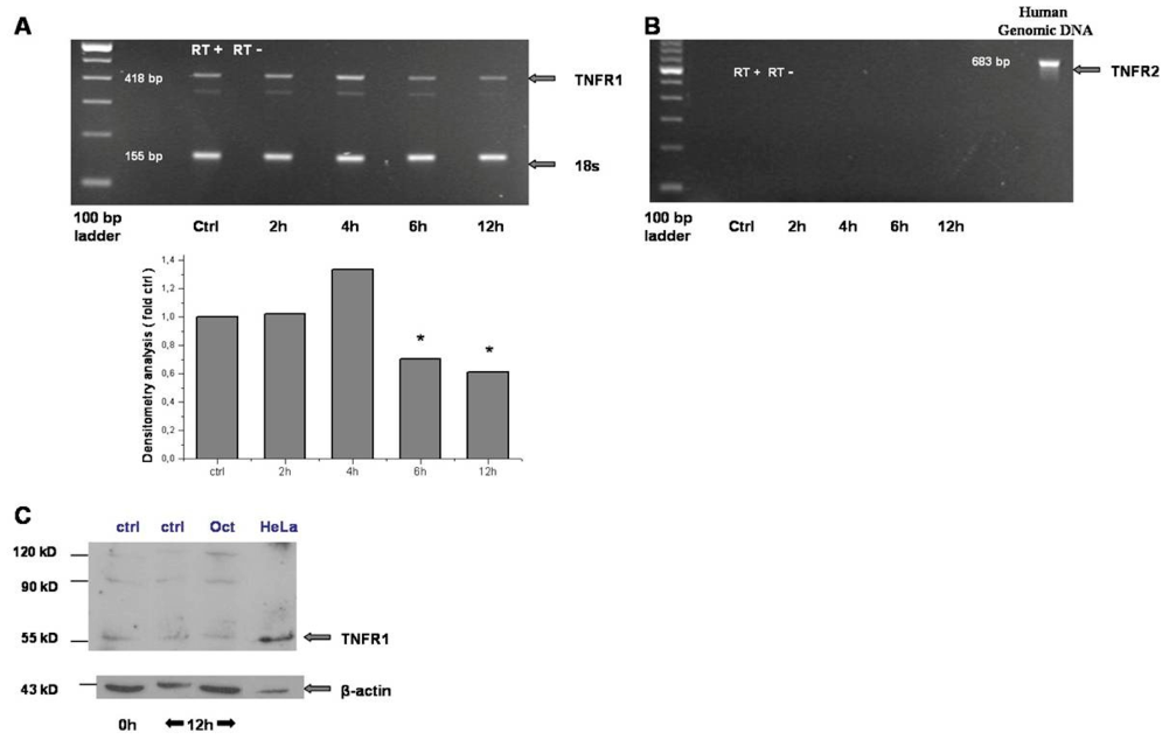 Gastroent 15 00045 g002