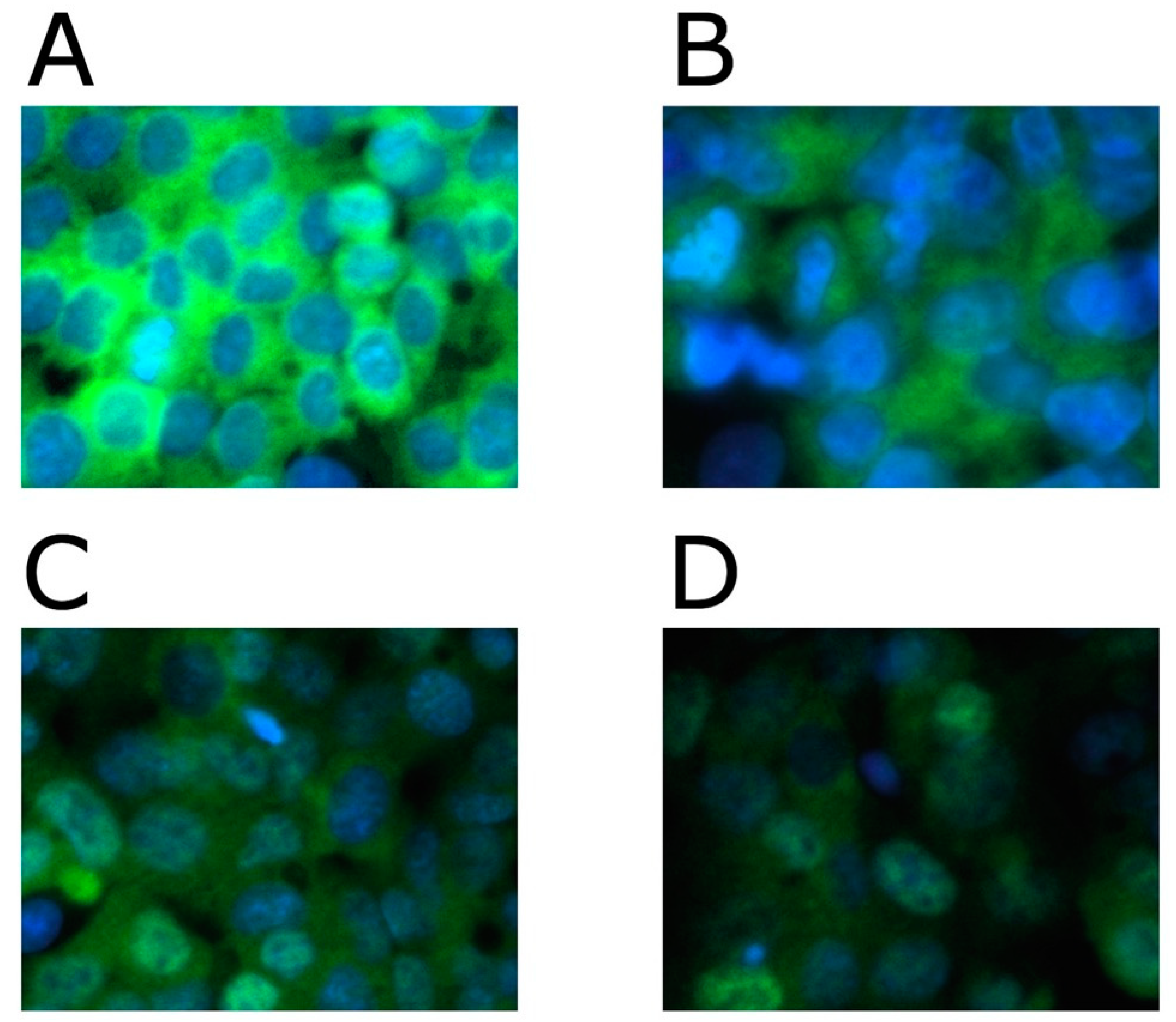 Gastroent 15 00045 g003