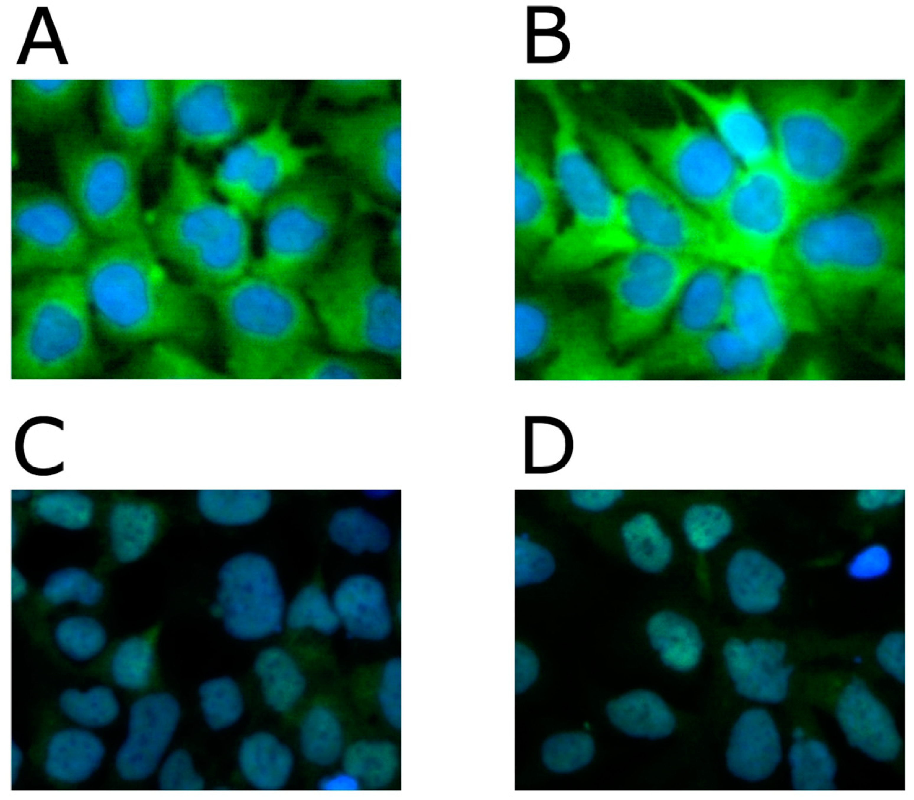 Gastroent 15 00045 g004