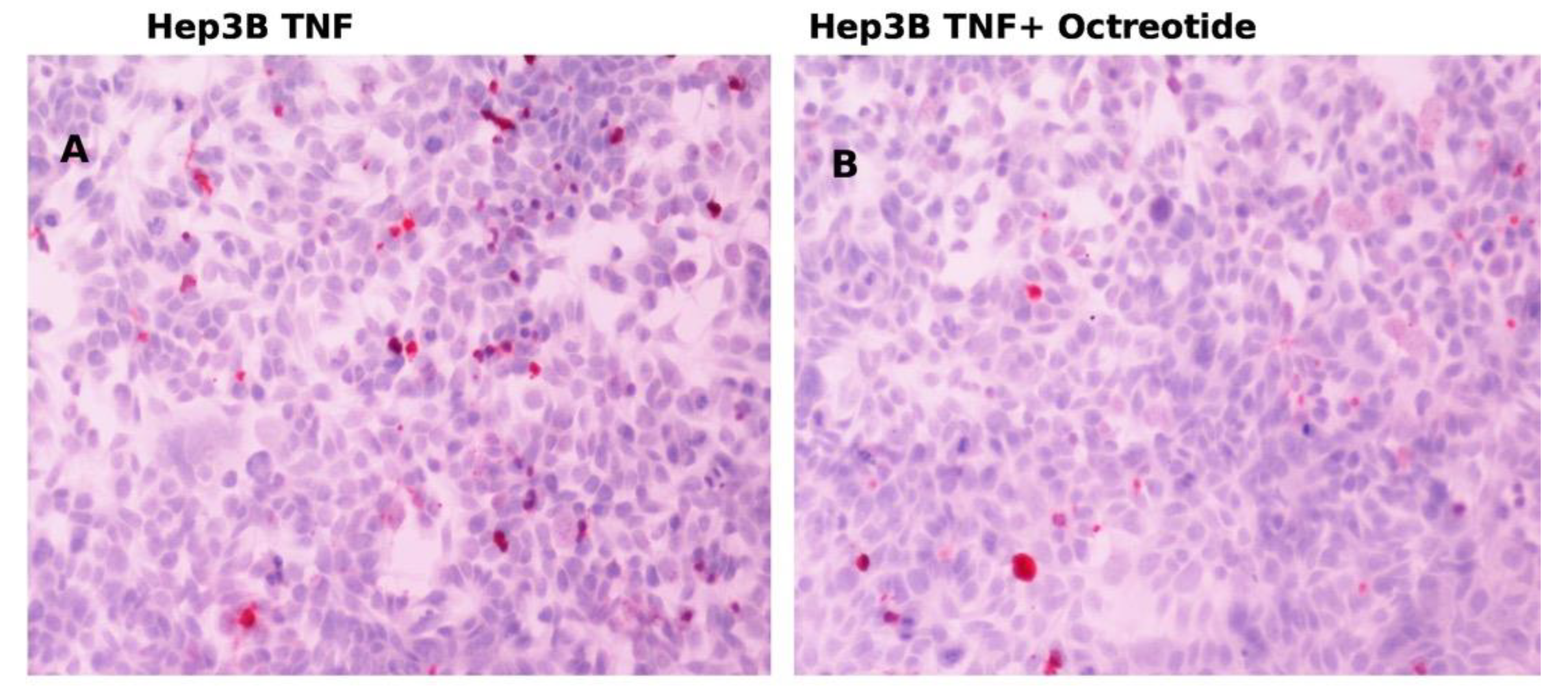 Gastroent 15 00045 g009