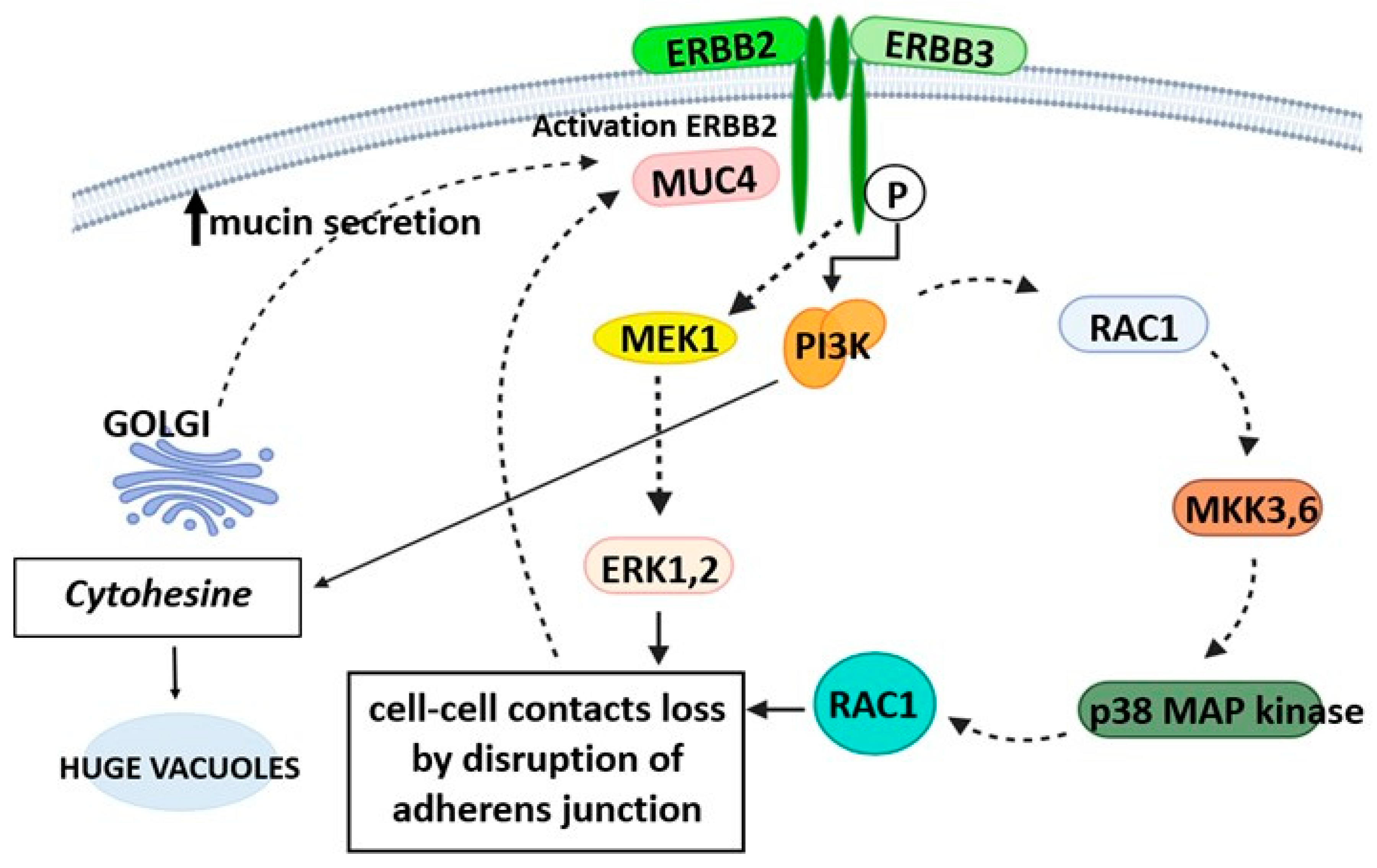 Gastroent 15 00046 g002