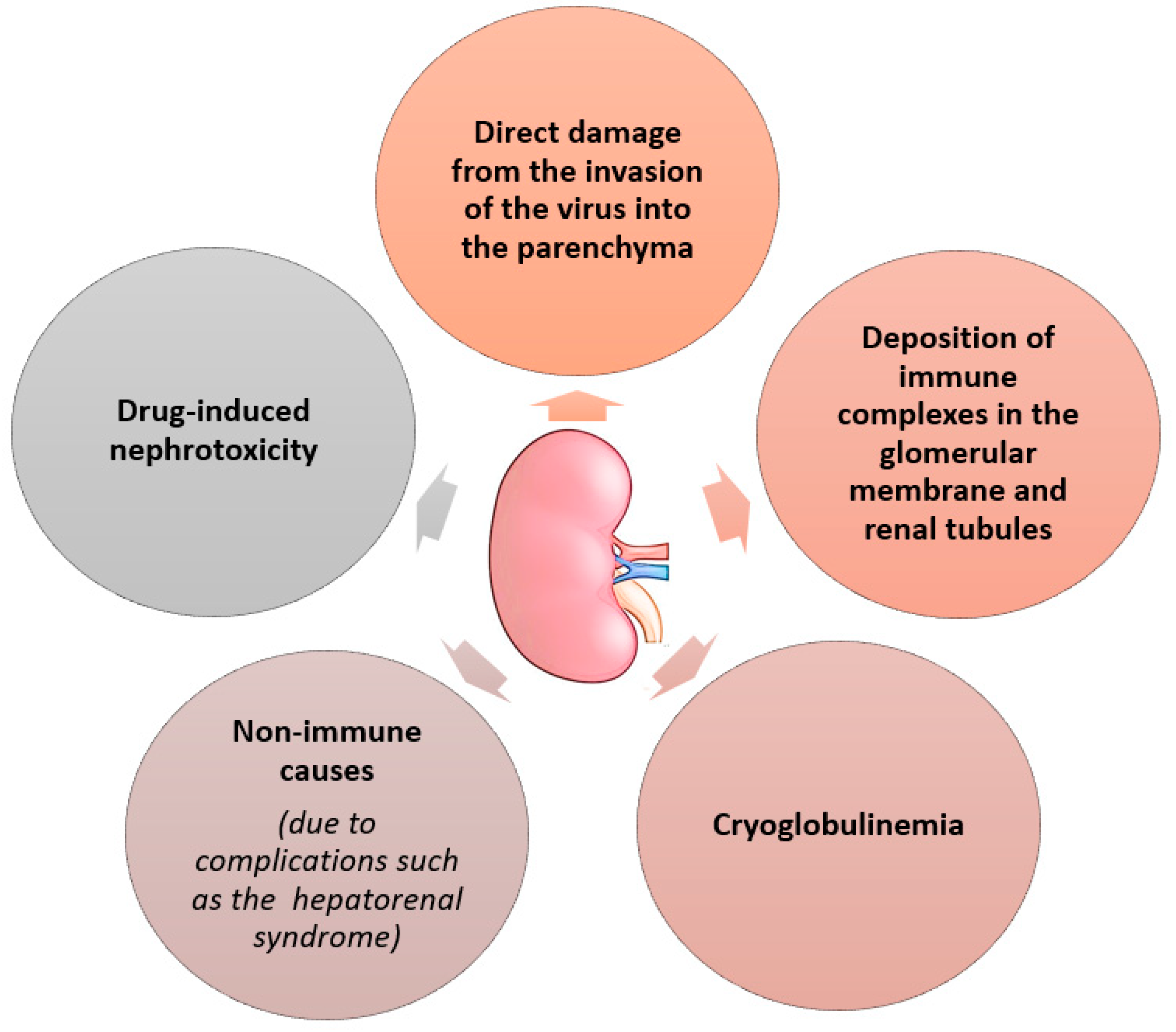 Gastroent 15 00049 g010 Gastroent 15 00049 g010