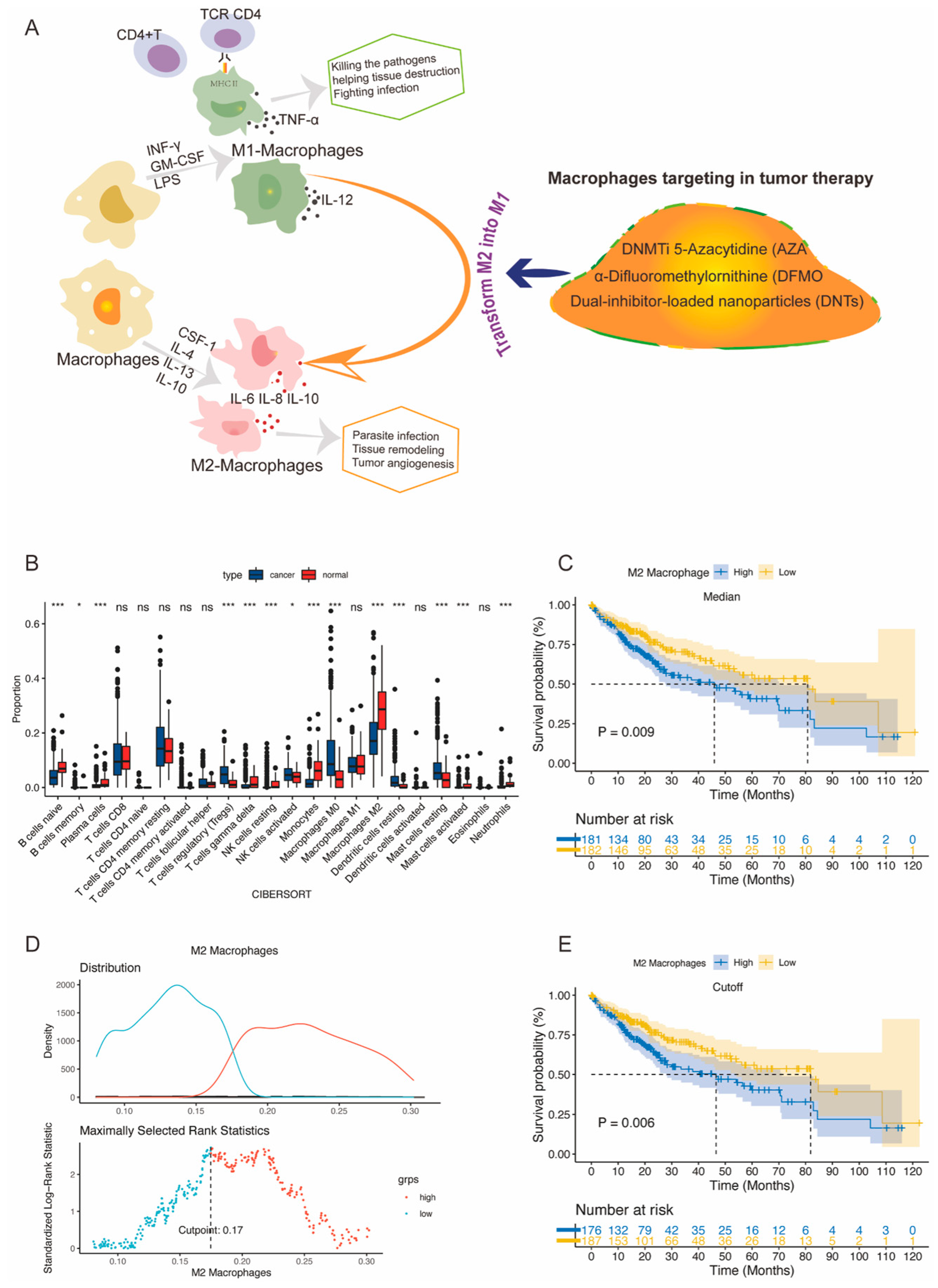 Gastroent 15 00055 g001 Gastroent 15 00055 g001