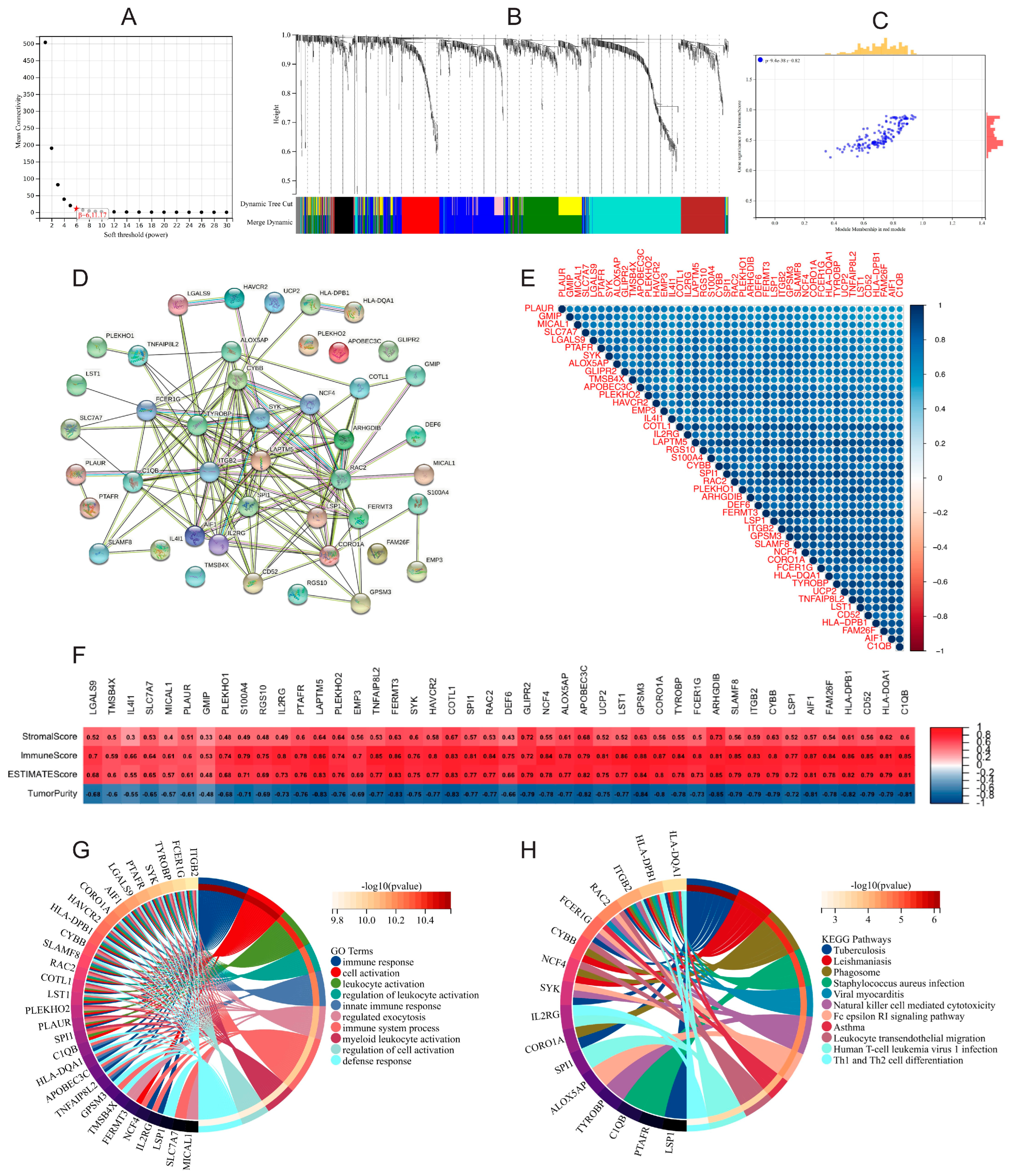 Gastroent 15 00055 g007 Gastroent 15 00055 g007