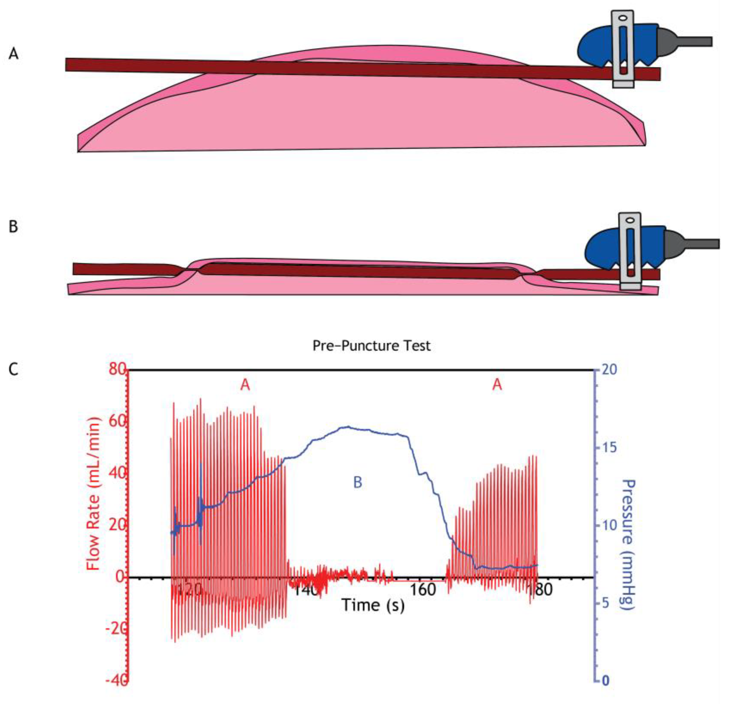 Gastroent 16 00003 g004