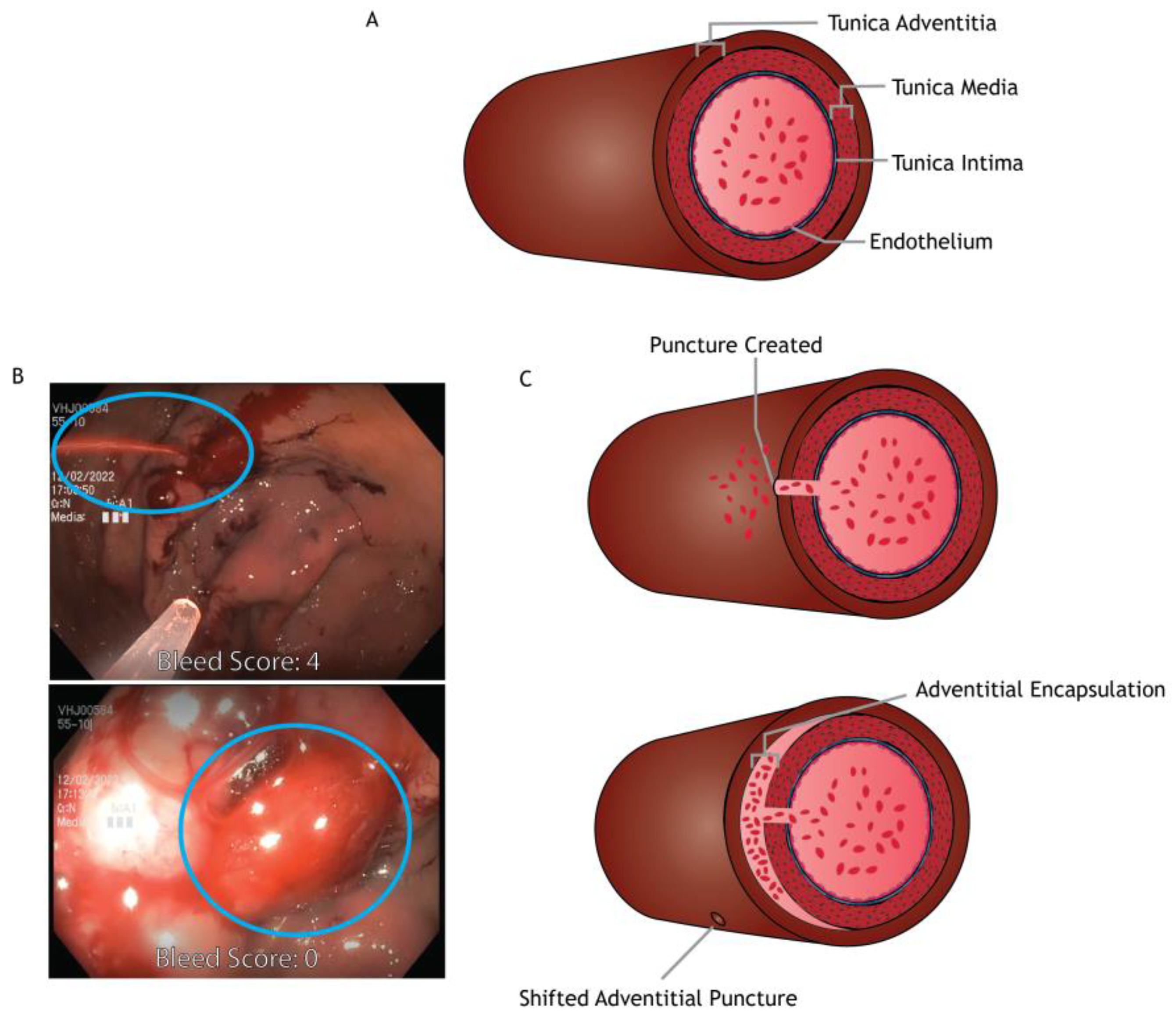 Gastroent 16 00003 g005