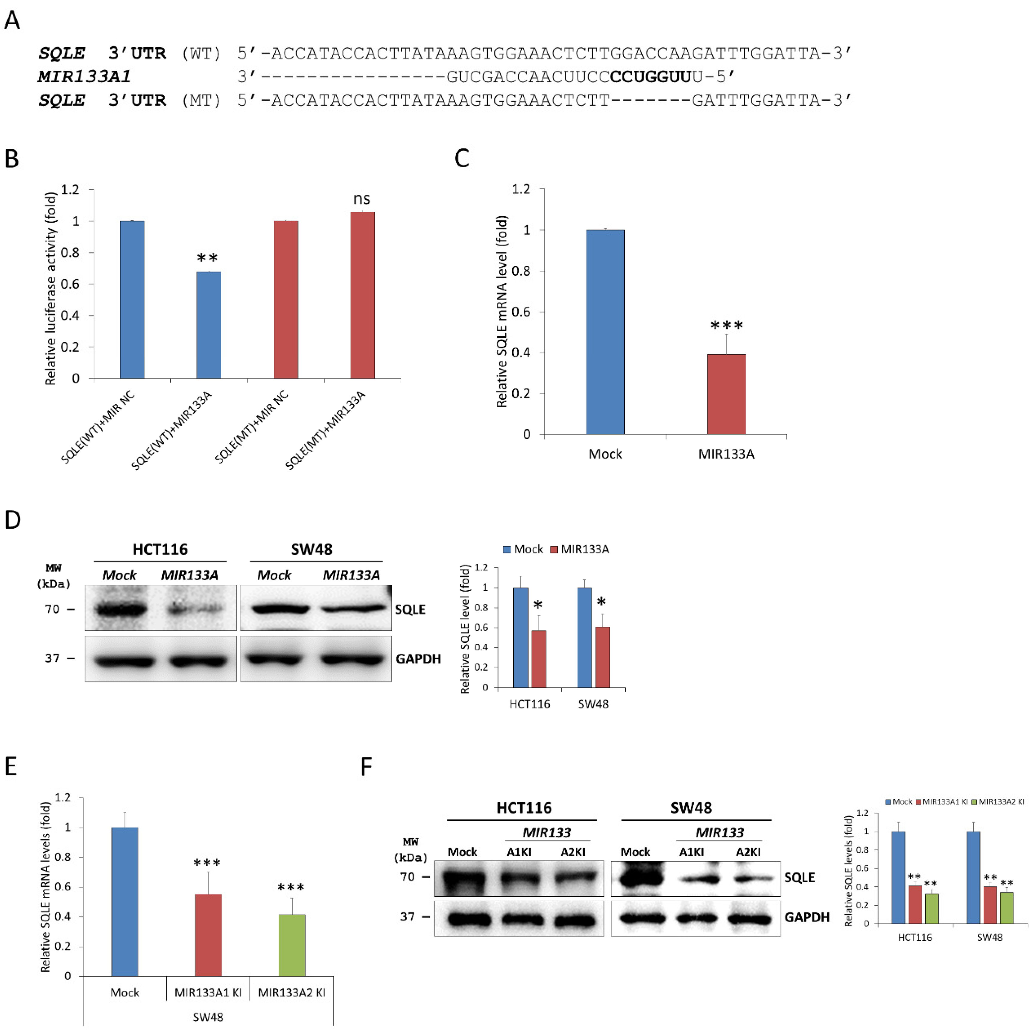 Gastroent 16 00005 g001