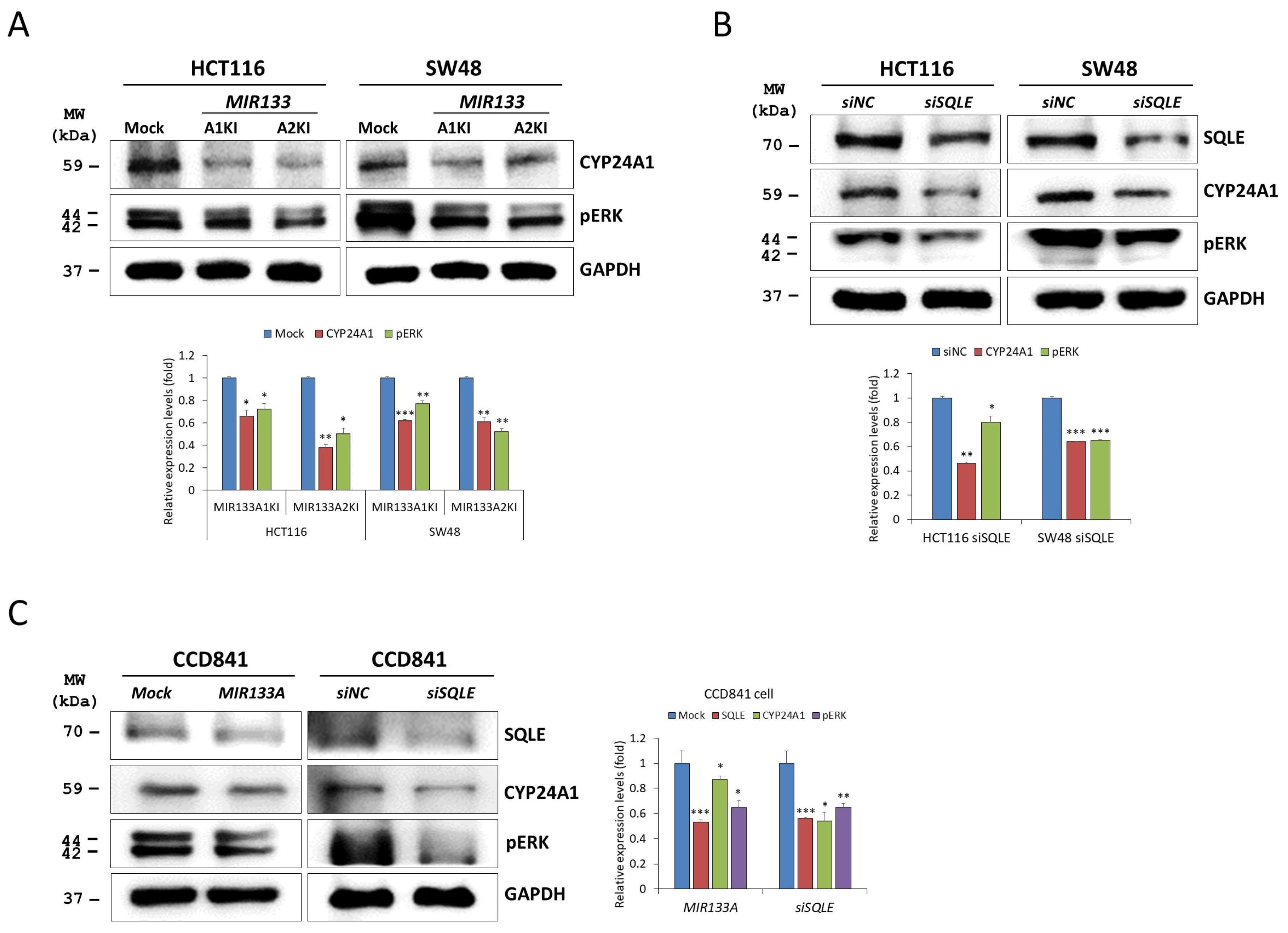 Gastroent 16 00005 g003