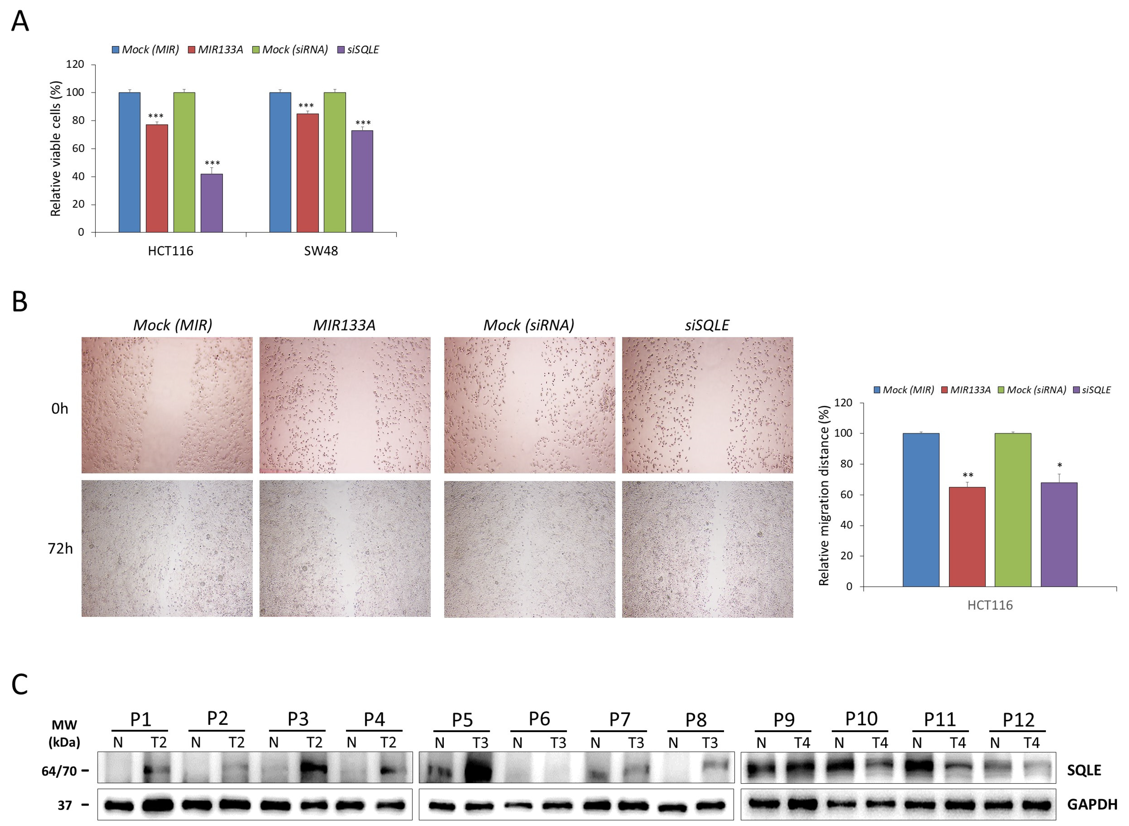 Gastroent 16 00005 g004