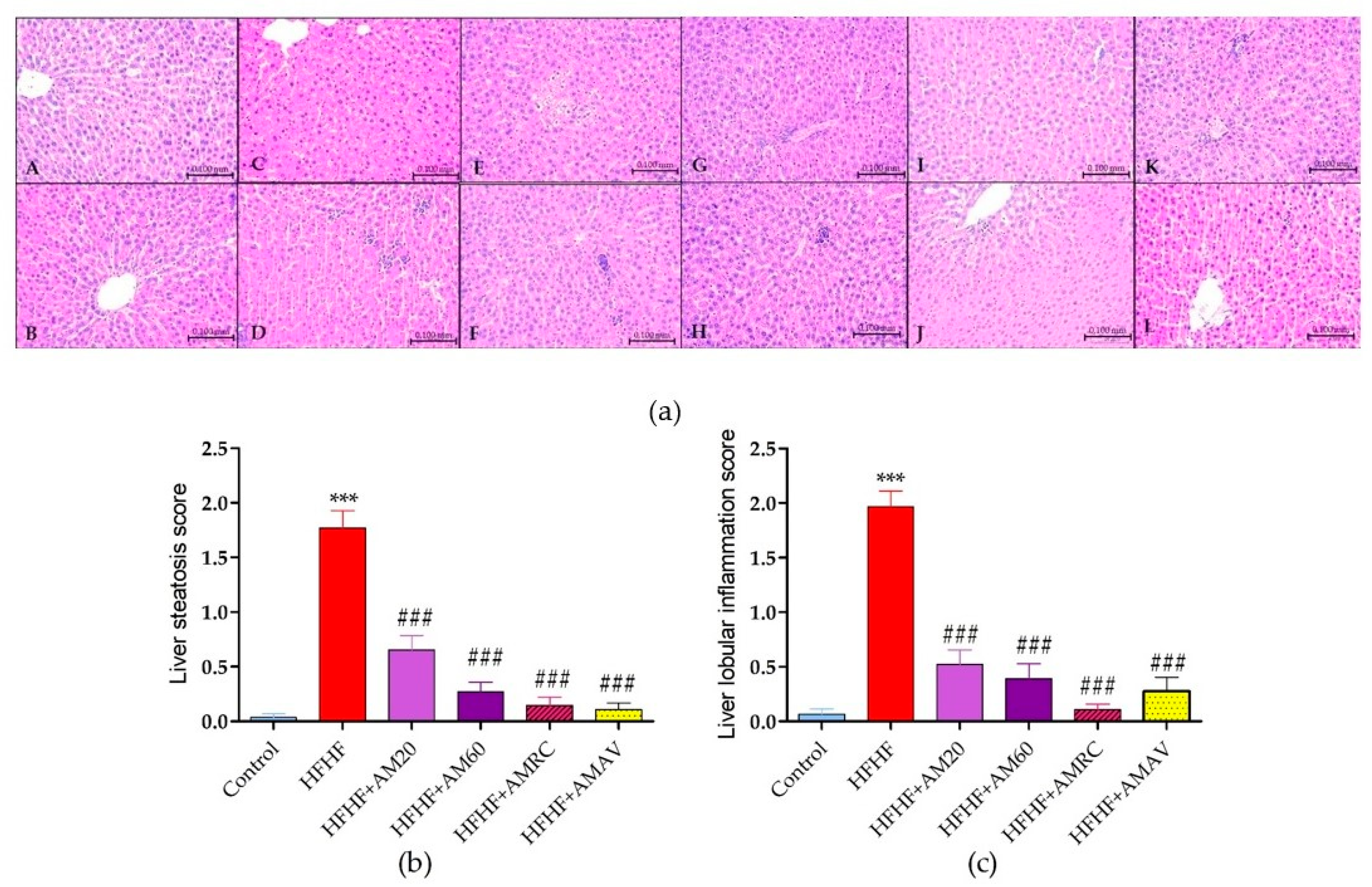 Gastroent 16 00023 g005