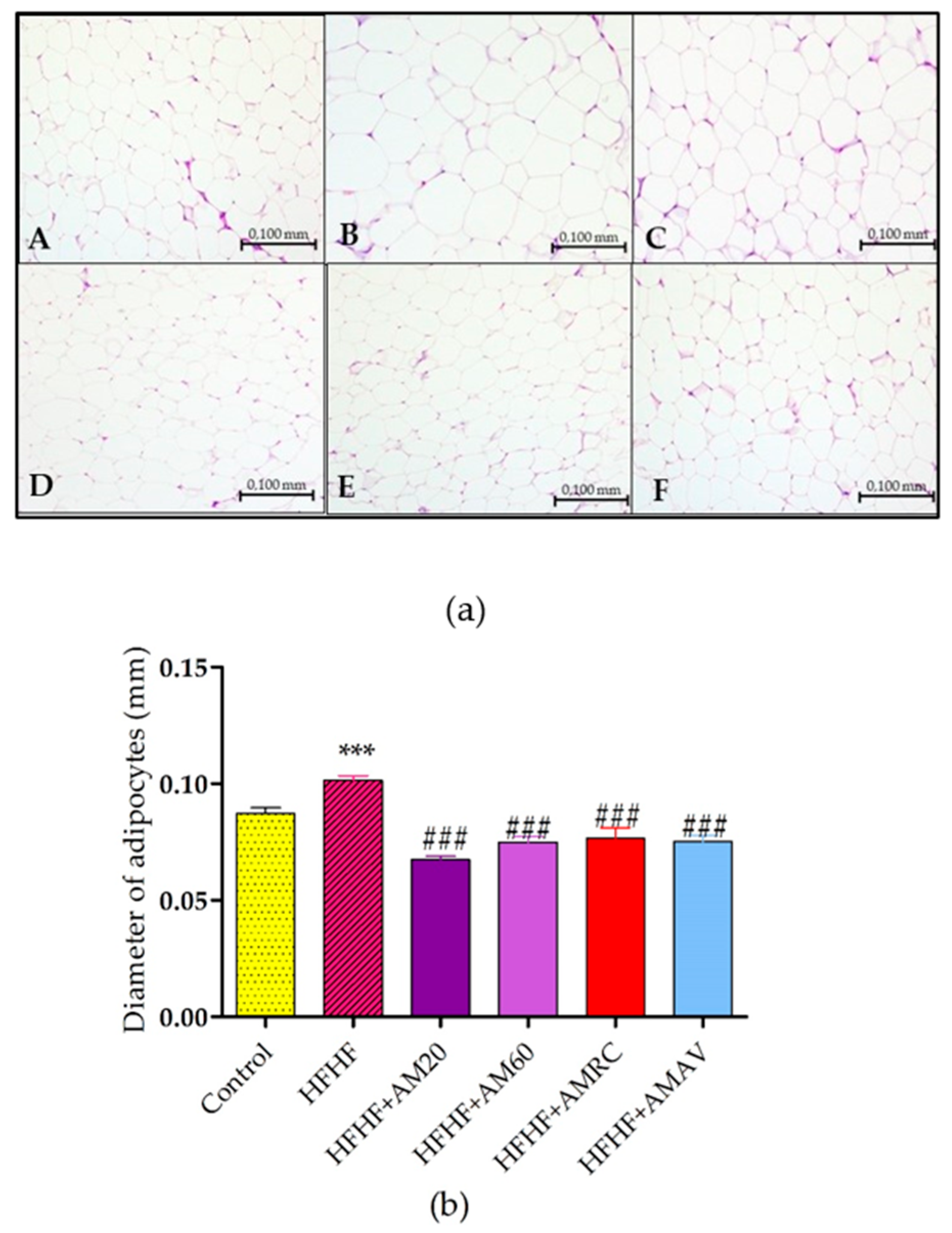 Gastroent 16 00023 g006