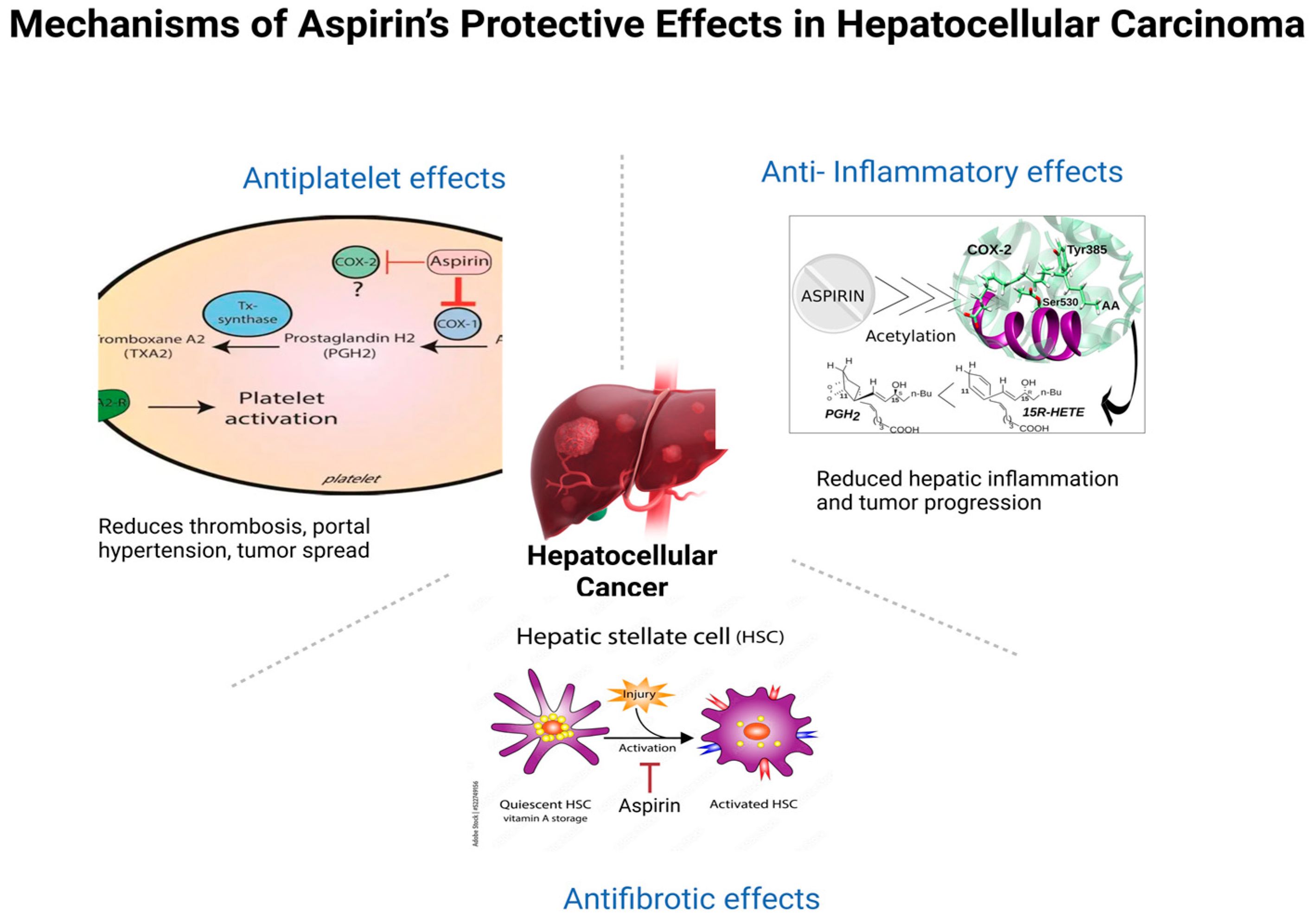 Gastroent 16 00033 g002 Gastroent 16 00033 g002