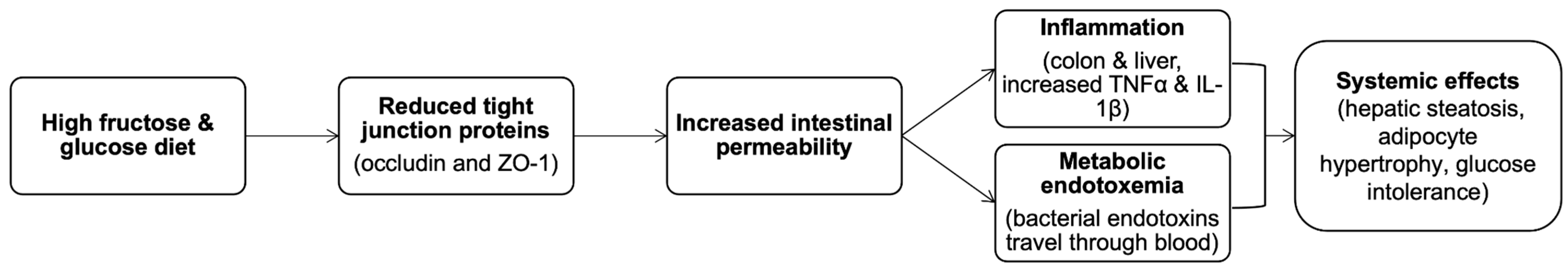 Gastroent 16 00042 g002 Gastroent 16 00042 g002