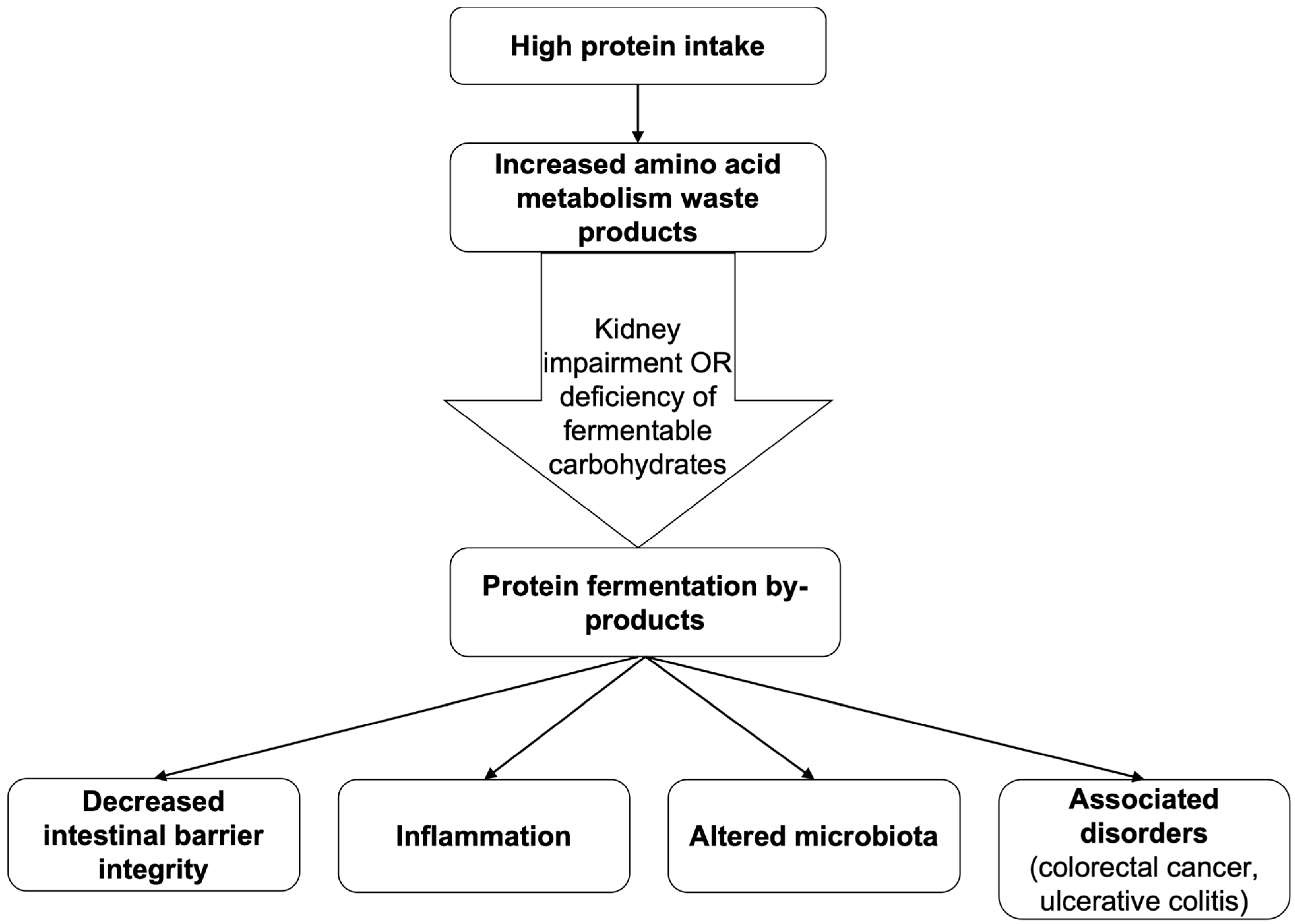 Gastroent 16 00042 g003 Gastroent 16 00042 g003