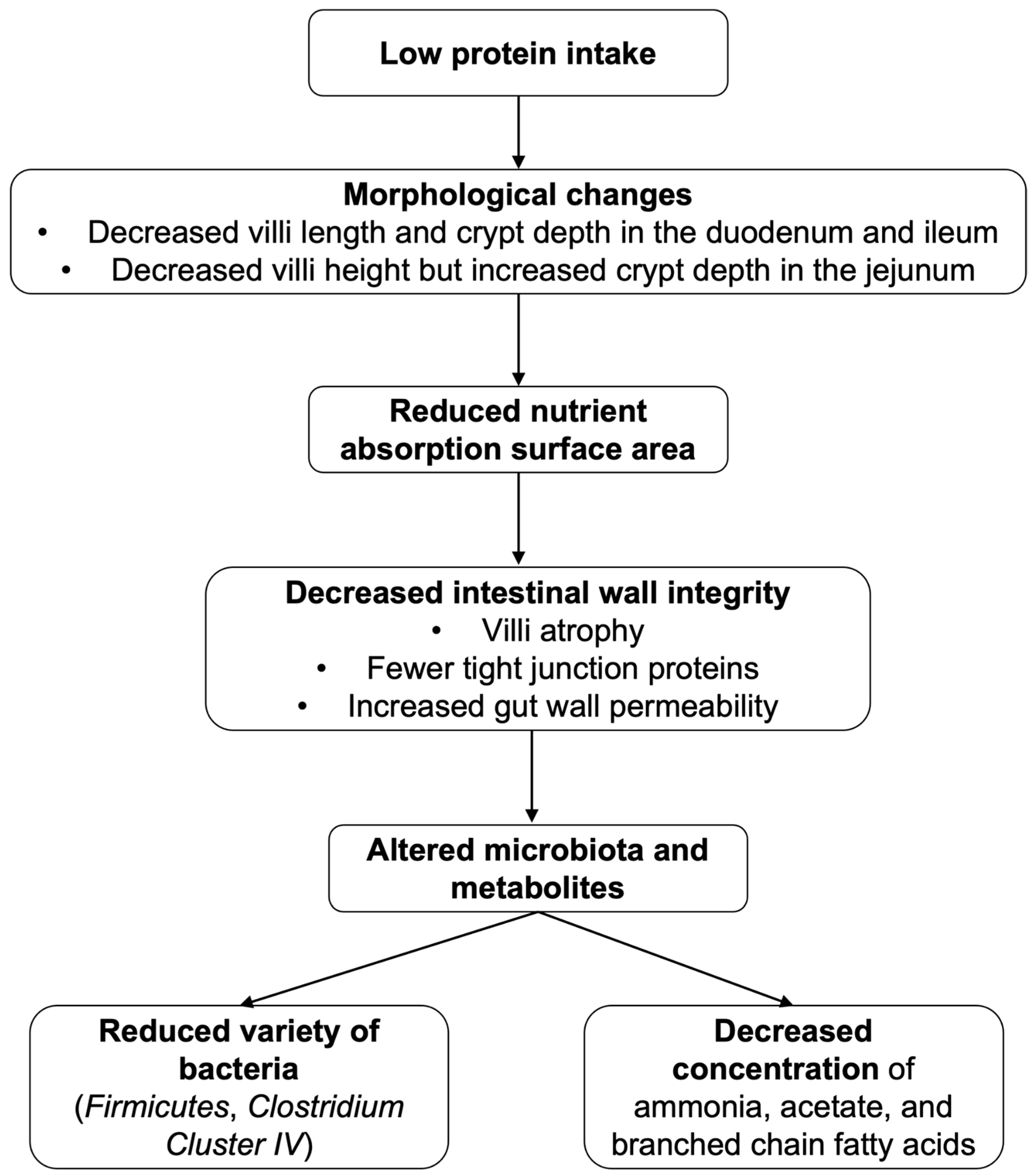 Gastroent 16 00042 g004 Gastroent 16 00042 g004