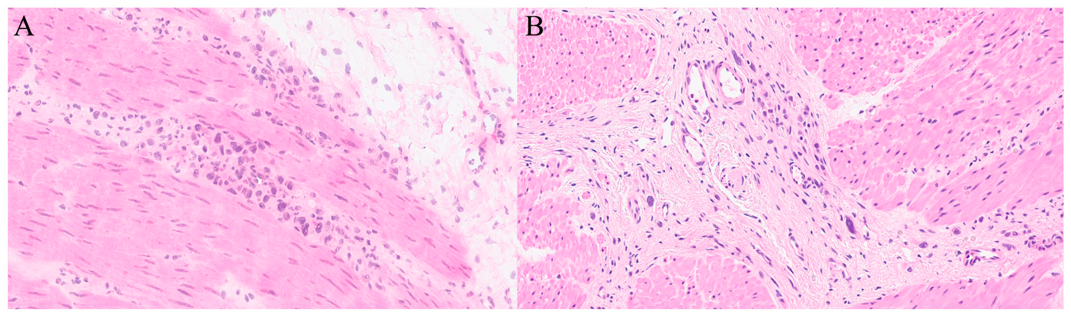 Gastroent 16 00046 g004 Gastroent 16 00046 g004