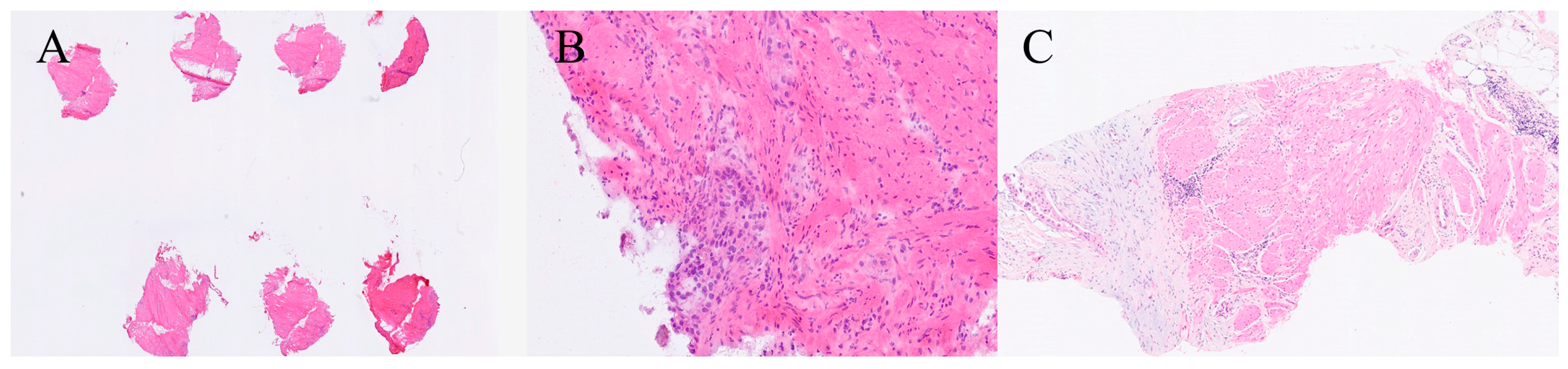 Gastroent 16 00046 g006 Gastroent 16 00046 g006