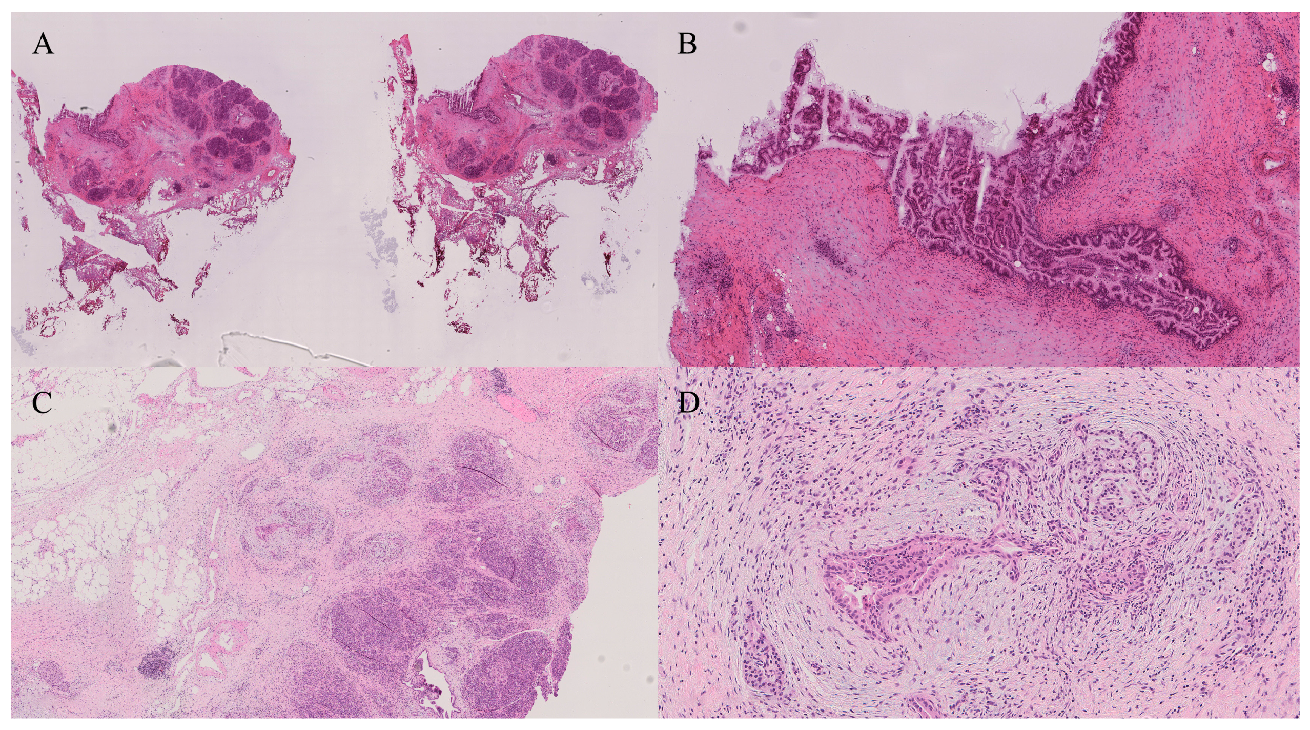 Gastroent 16 00046 g012 Gastroent 16 00046 g012