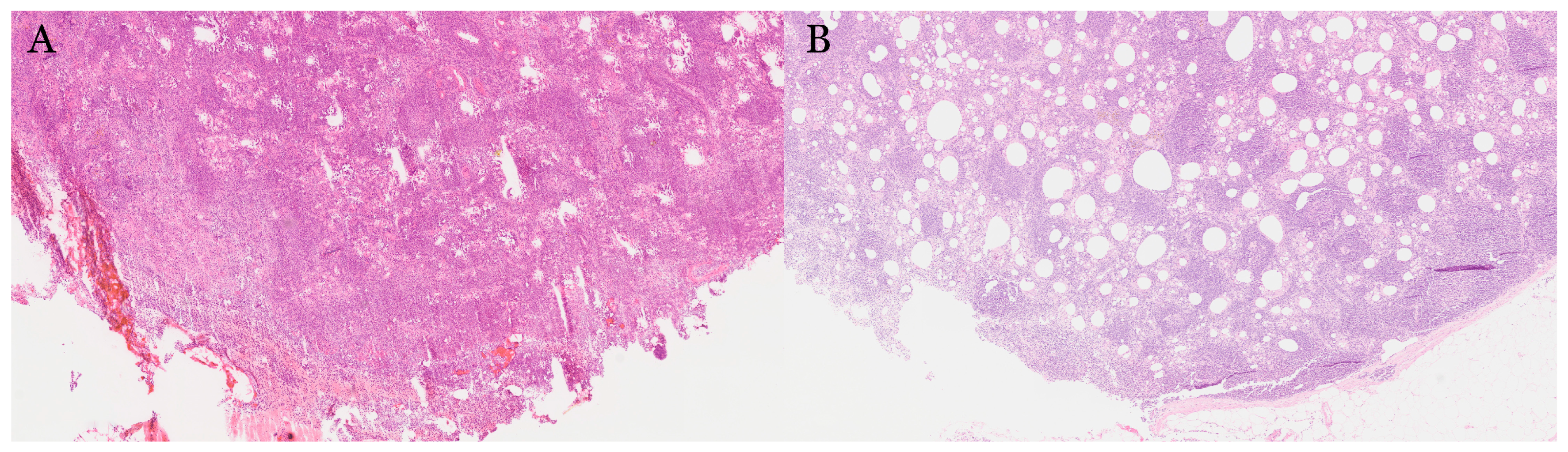 Gastroent 16 00046 g015 Gastroent 16 00046 g015