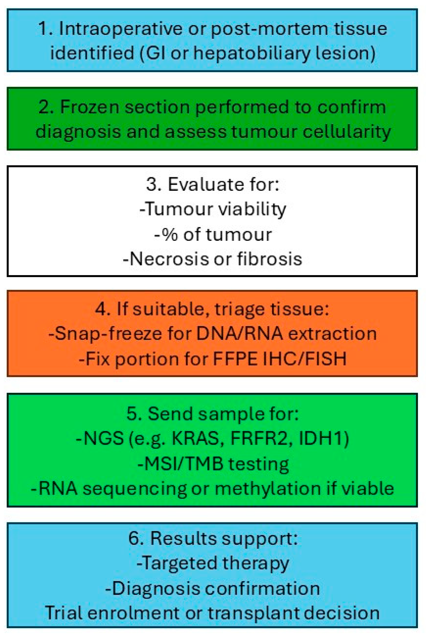 Gastroent 16 00046 g020 Gastroent 16 00046 g020