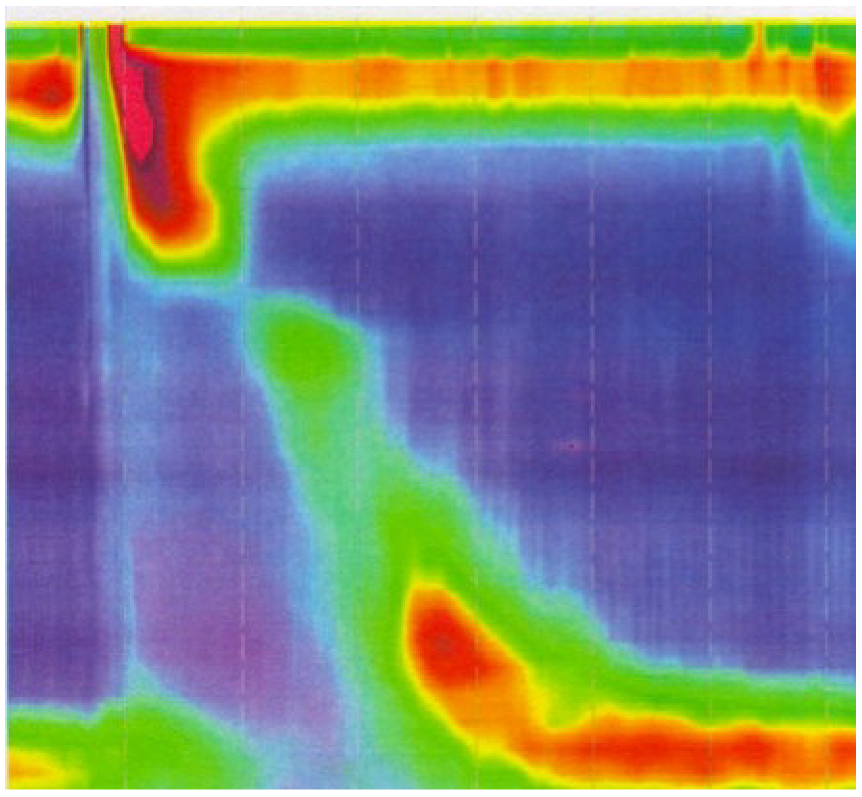 Gastrointestdisord 01 00002 g004