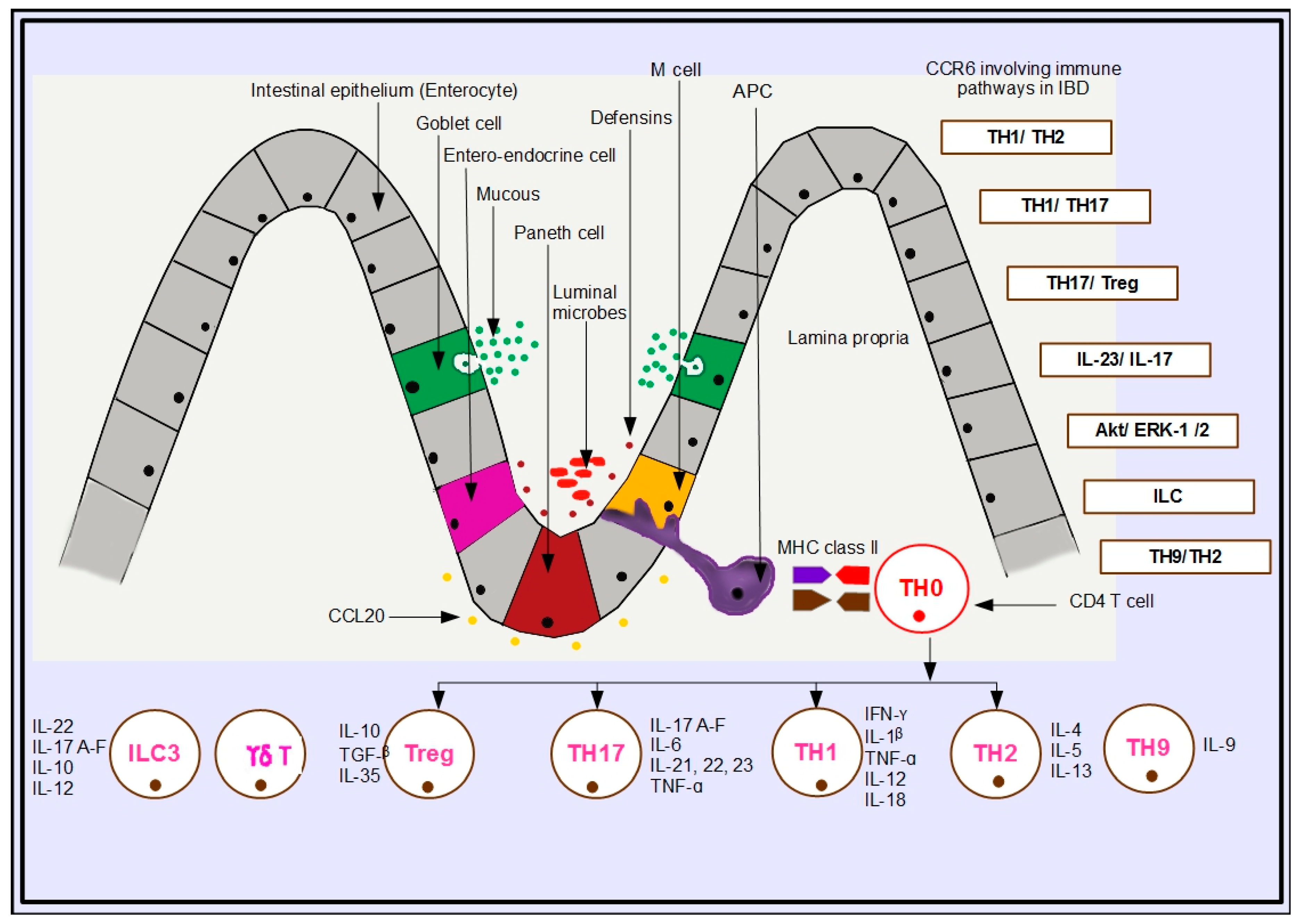 Gastrointestdisord 01 00003 g001