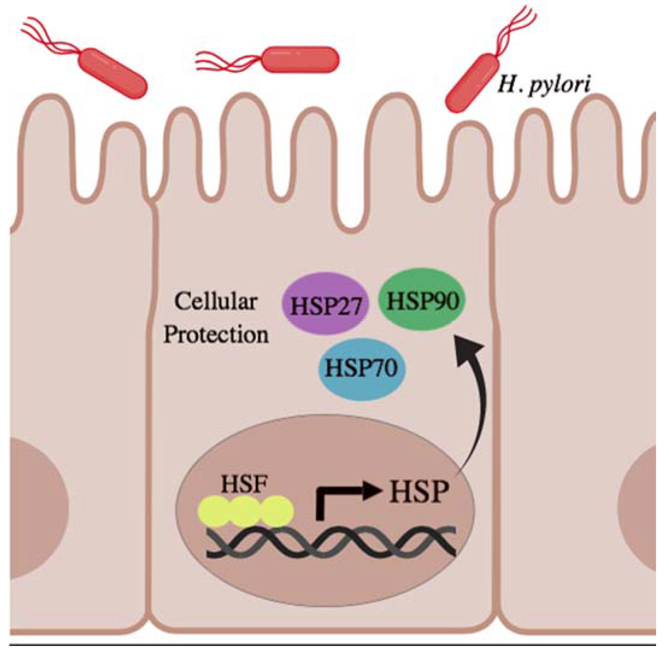 Gastrointestdisord 01 00005 g002 Gastrointestdisord 01 00005 g002