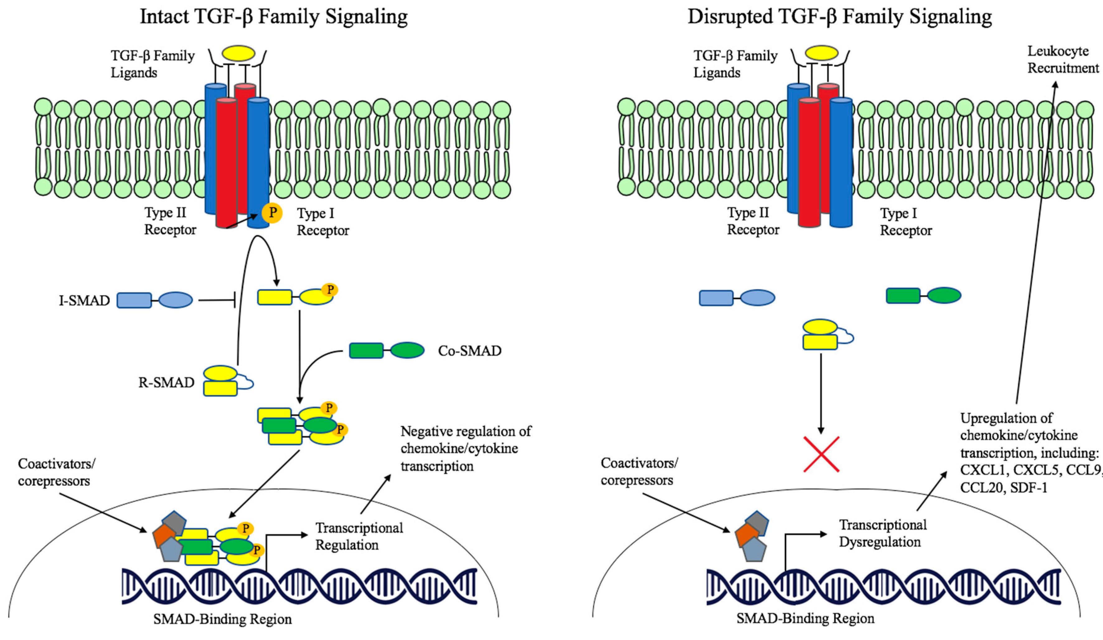 Gastrointestdisord 01 00024 g001 Gastrointestdisord 01 00024 g001