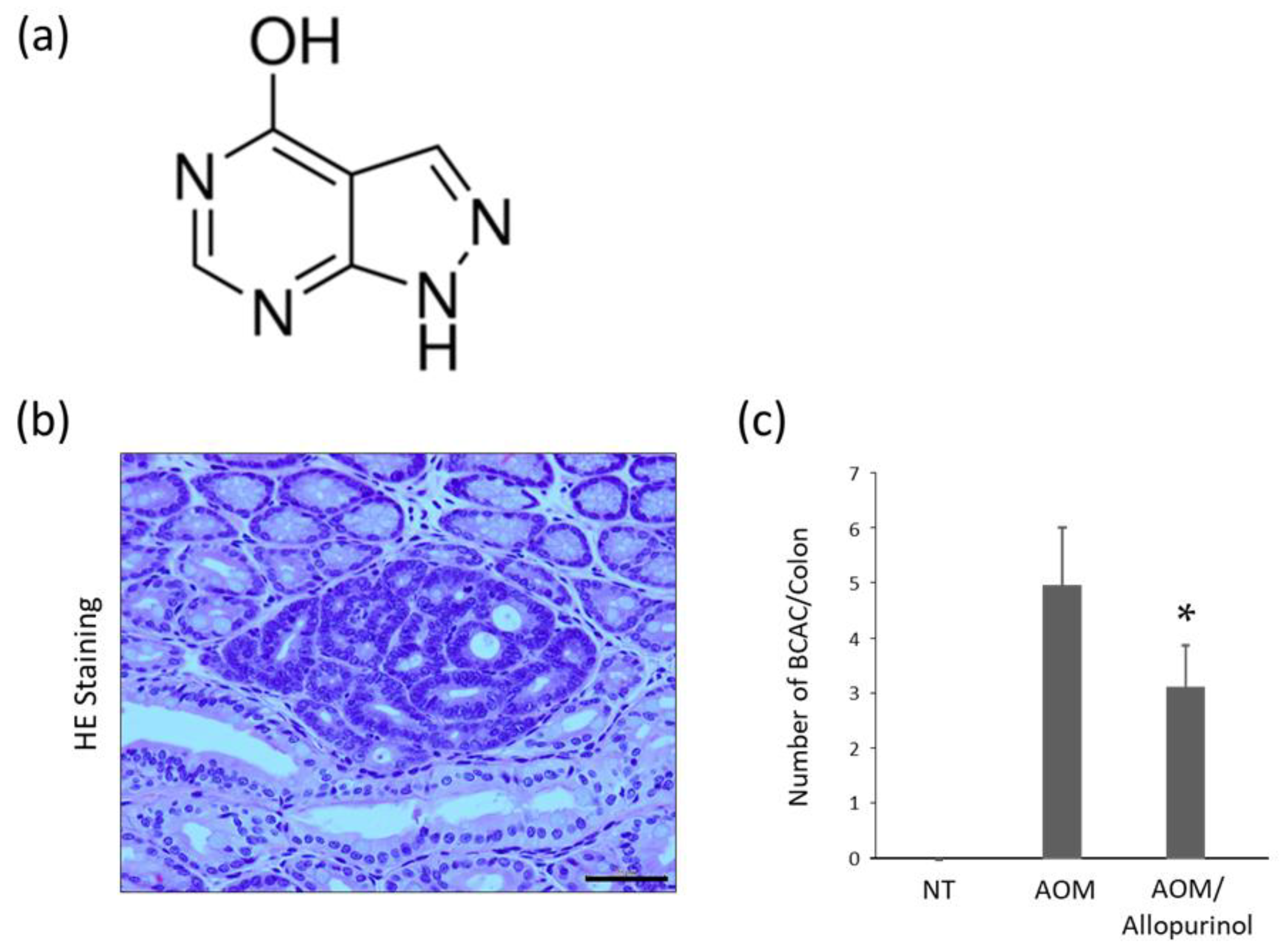 Gastrointestdisord 02 00035 g001