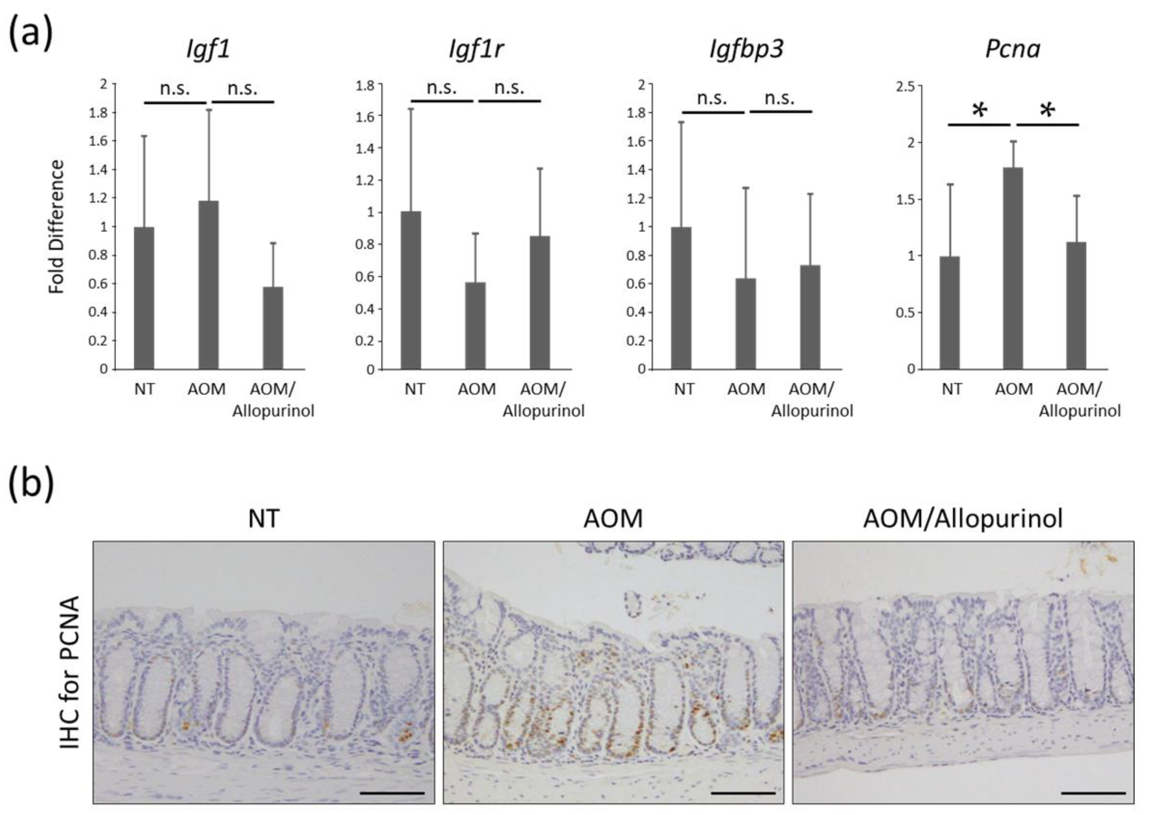 Gastrointestdisord 02 00035 g002