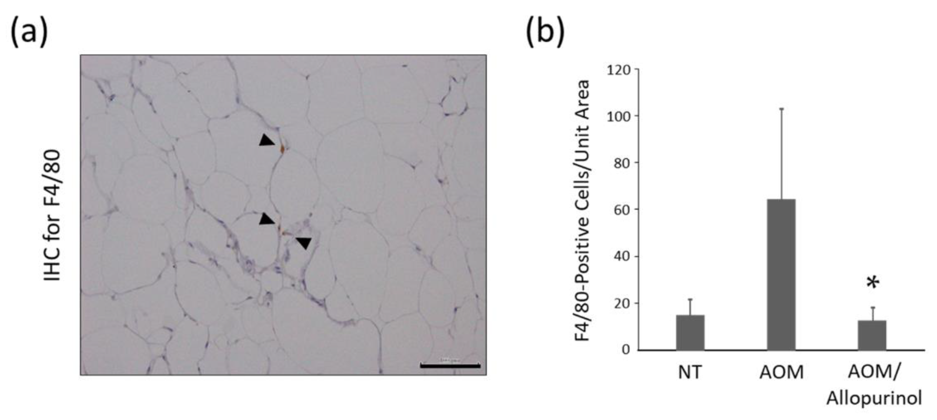 Gastrointestdisord 02 00035 g003