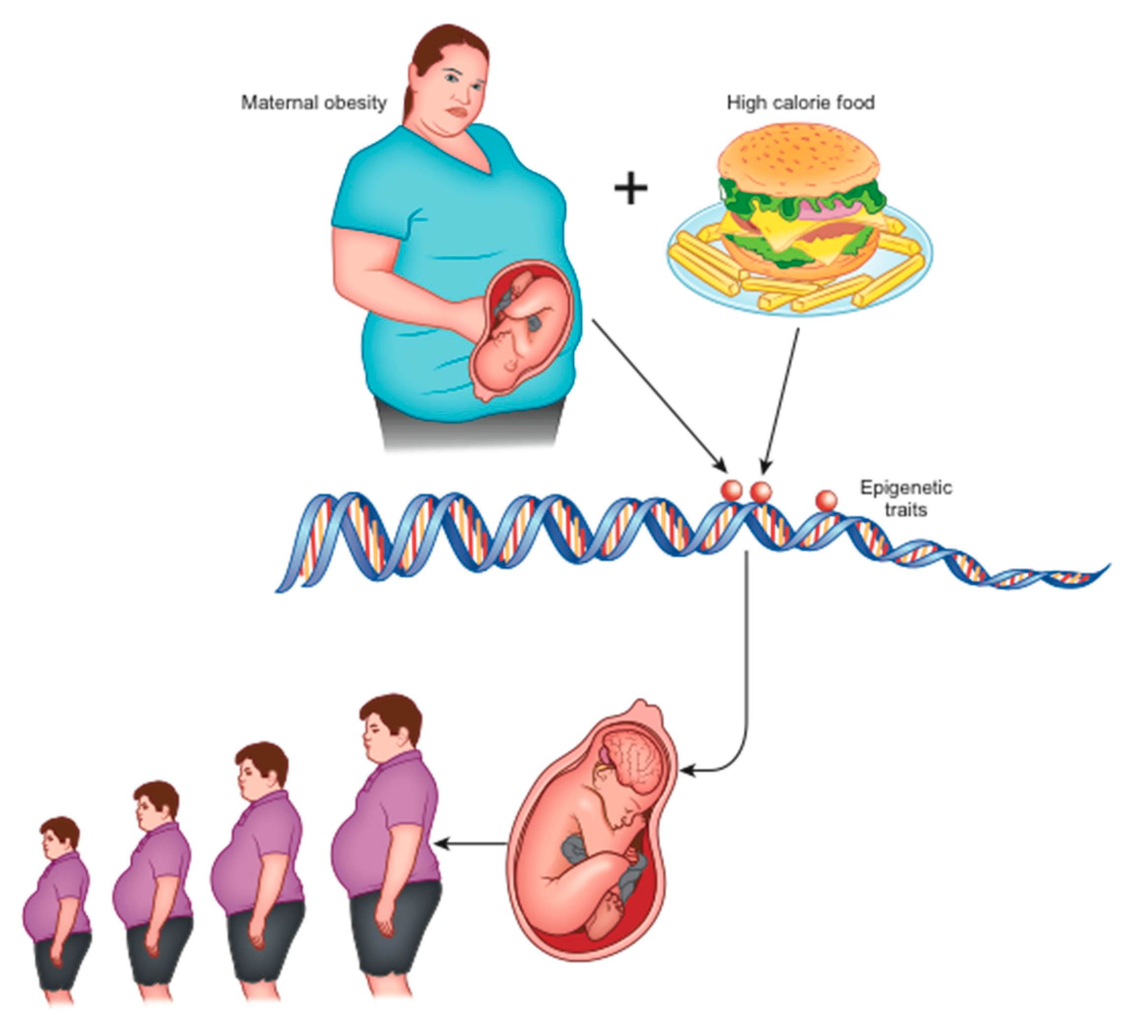 Gastrointestdisord 02 00039 g001