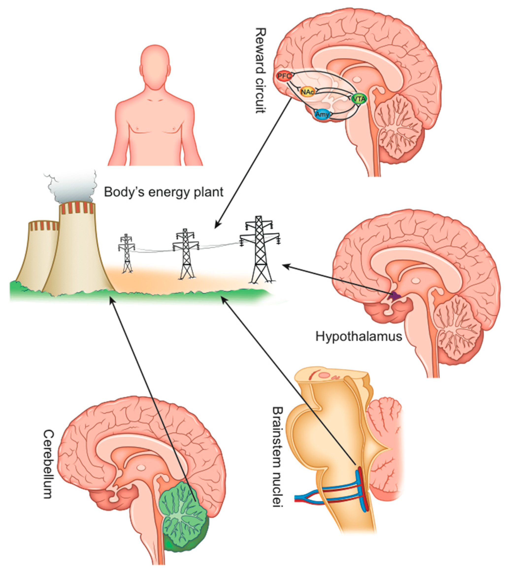 Gastrointestdisord 02 00039 g002